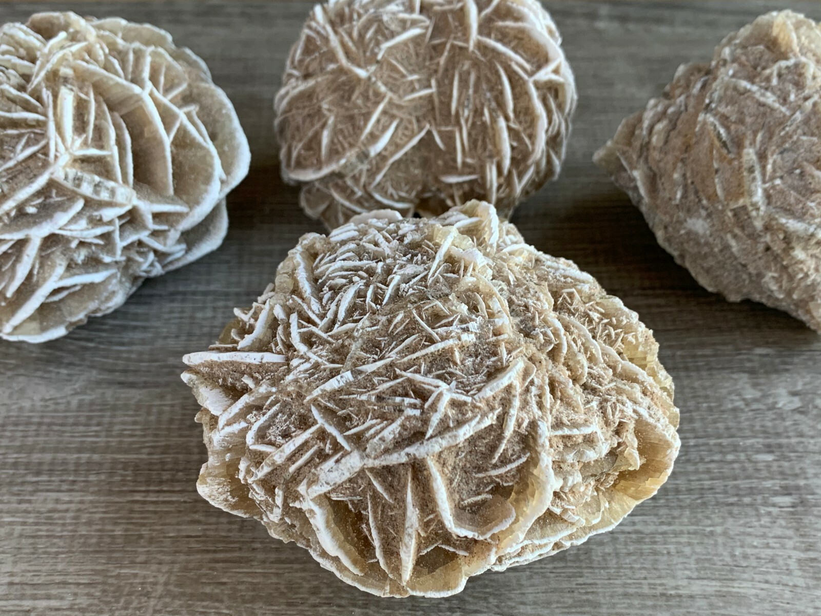 Extra Large Desert Rose Selenite, 1.5-4 Inches Desert Gypsum Rose, Pick a Size