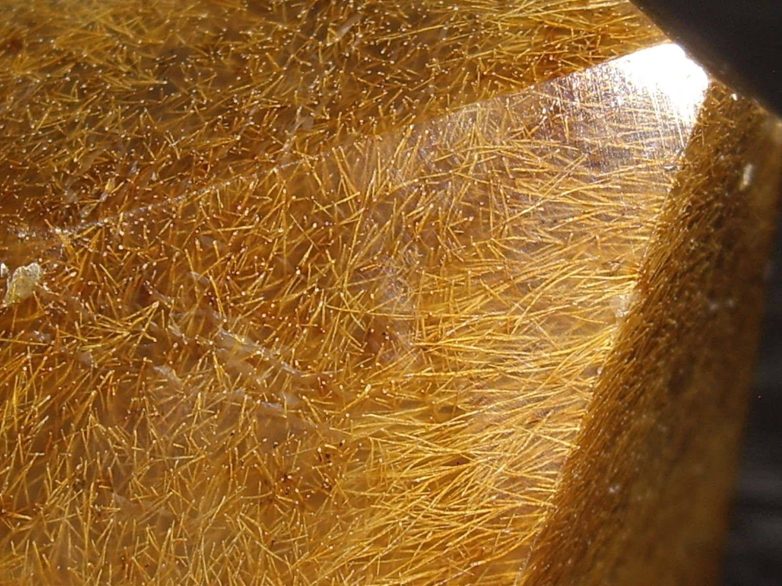 Fantastic Sagenite Agate Polished Freeform w/ Unknown Fibrous Inclusions 91.2g