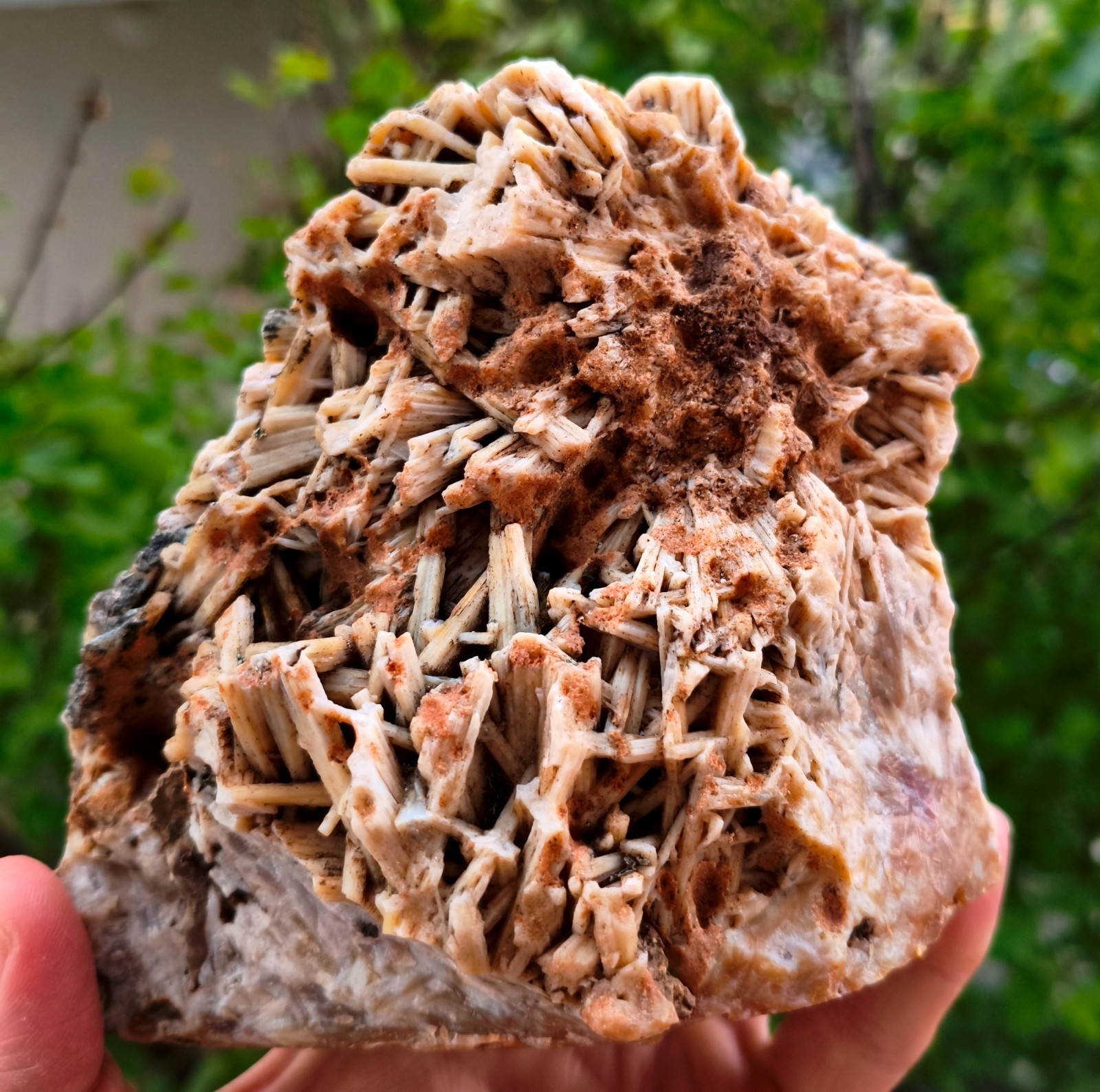 5 Lb 14.28 Oz Extremely Rare Raw Stick Rare Agate