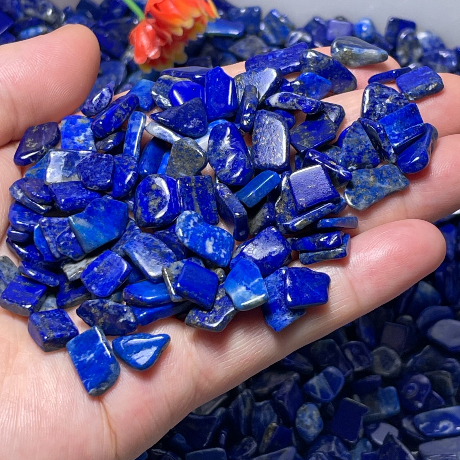 200g Rare Natural Lapis Lazuli Polished Stones Crystal Healing 6-14mm