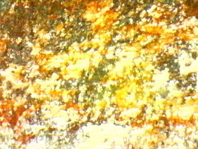 Platinum and Gold Ore Specimen/ Black Hills South Dakota