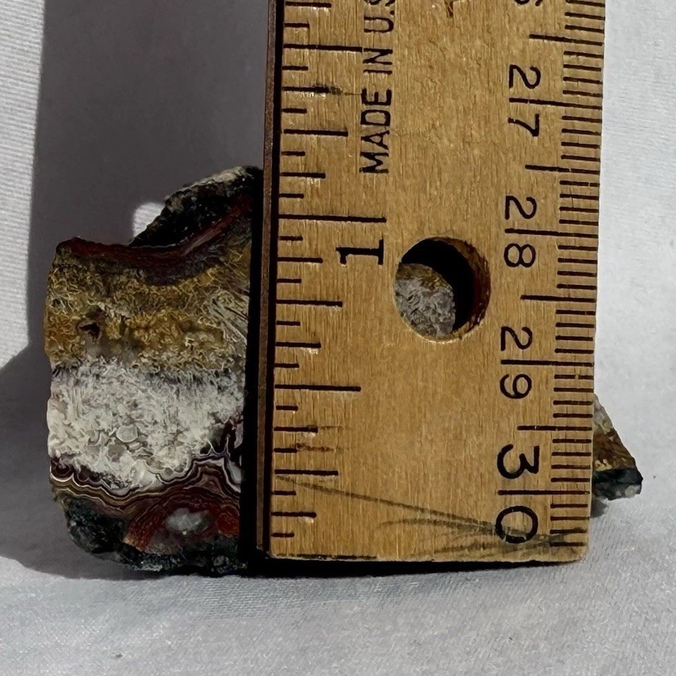 POLISHED MEXICAN CRAZY LACE ~2.0 ounces/57 grams