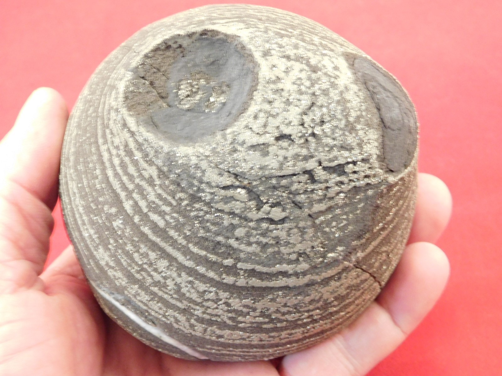 BIG! 100% Natural Ringed PYRITE Concretion From China! With Stand 1241gr