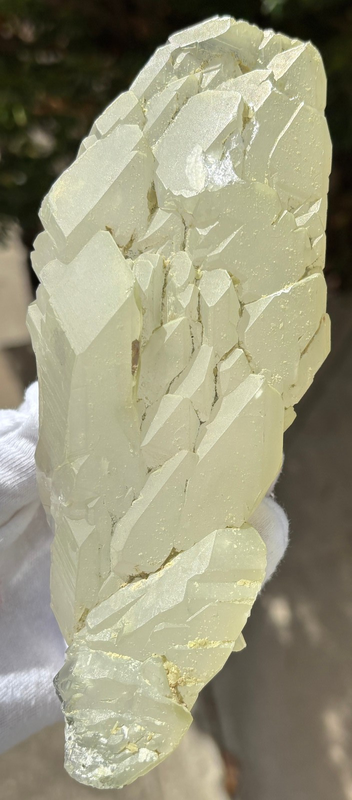 USA SALE SEE VIDEO 479g 1LB+ 6.1″ LARGE ELESTIAL EPIDOTE QUARTZ CRYSTAL SPECIMEN