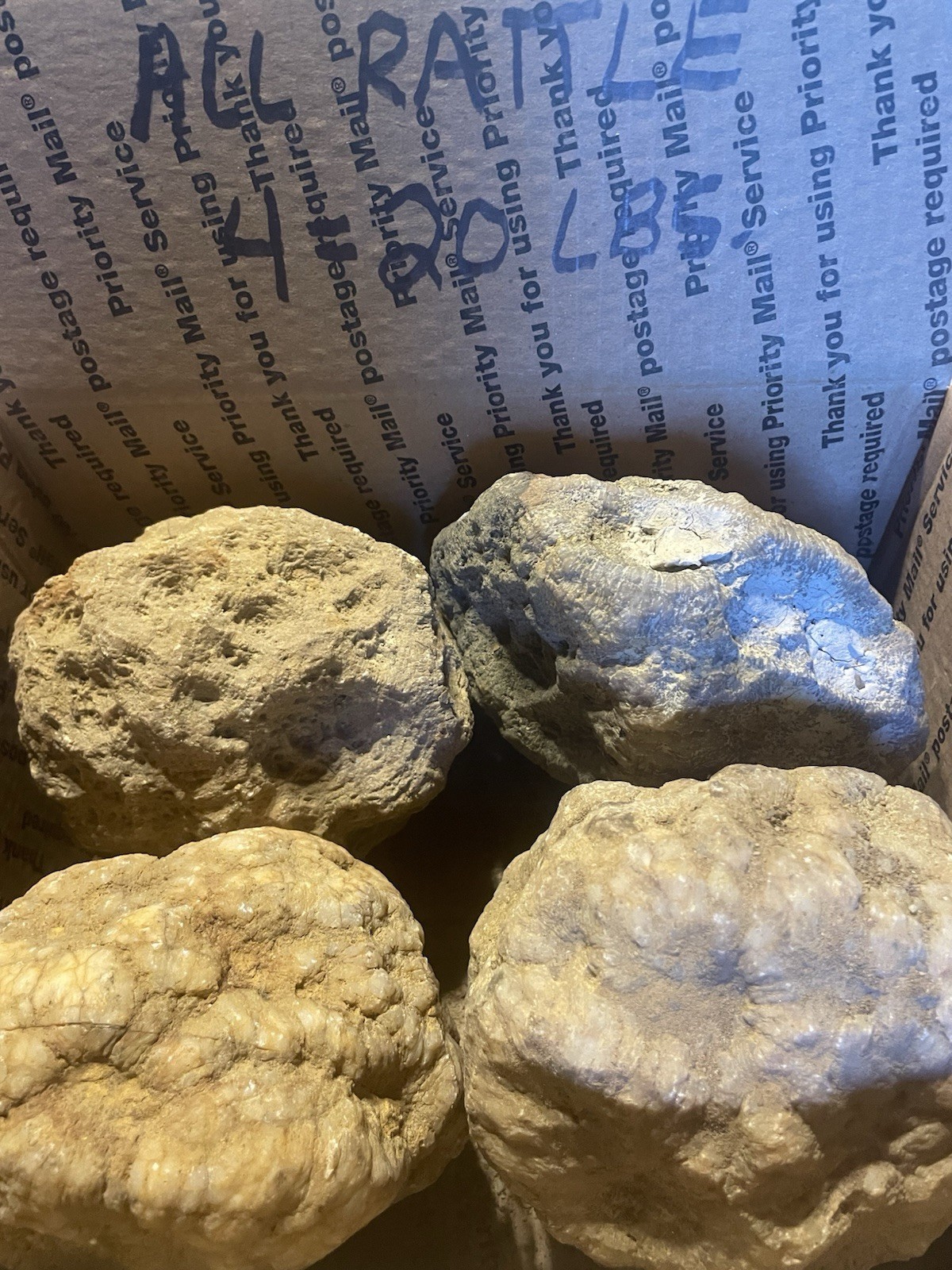 BOX OF KENTUCKY GEODES:4 BIG GEODES ALL RATTLE *4=20 LBS* ALL RATTLE