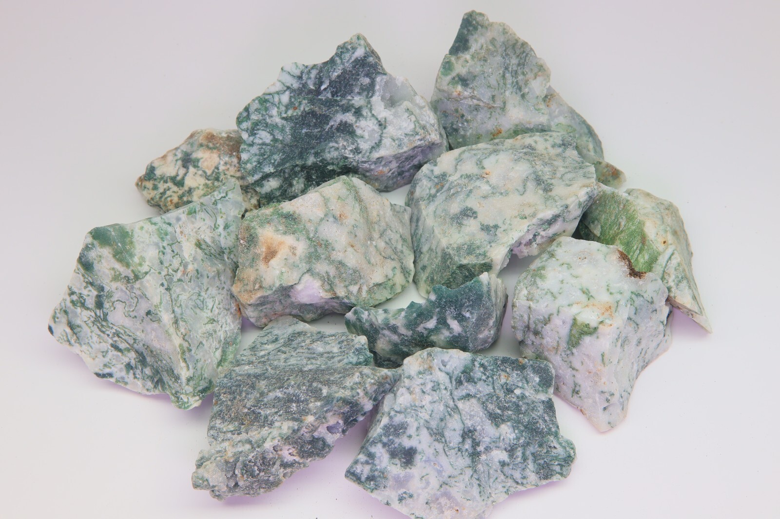 Tree Agate 1 Lb Rough Mineral Bulk Wholesale Gemstone Specimens