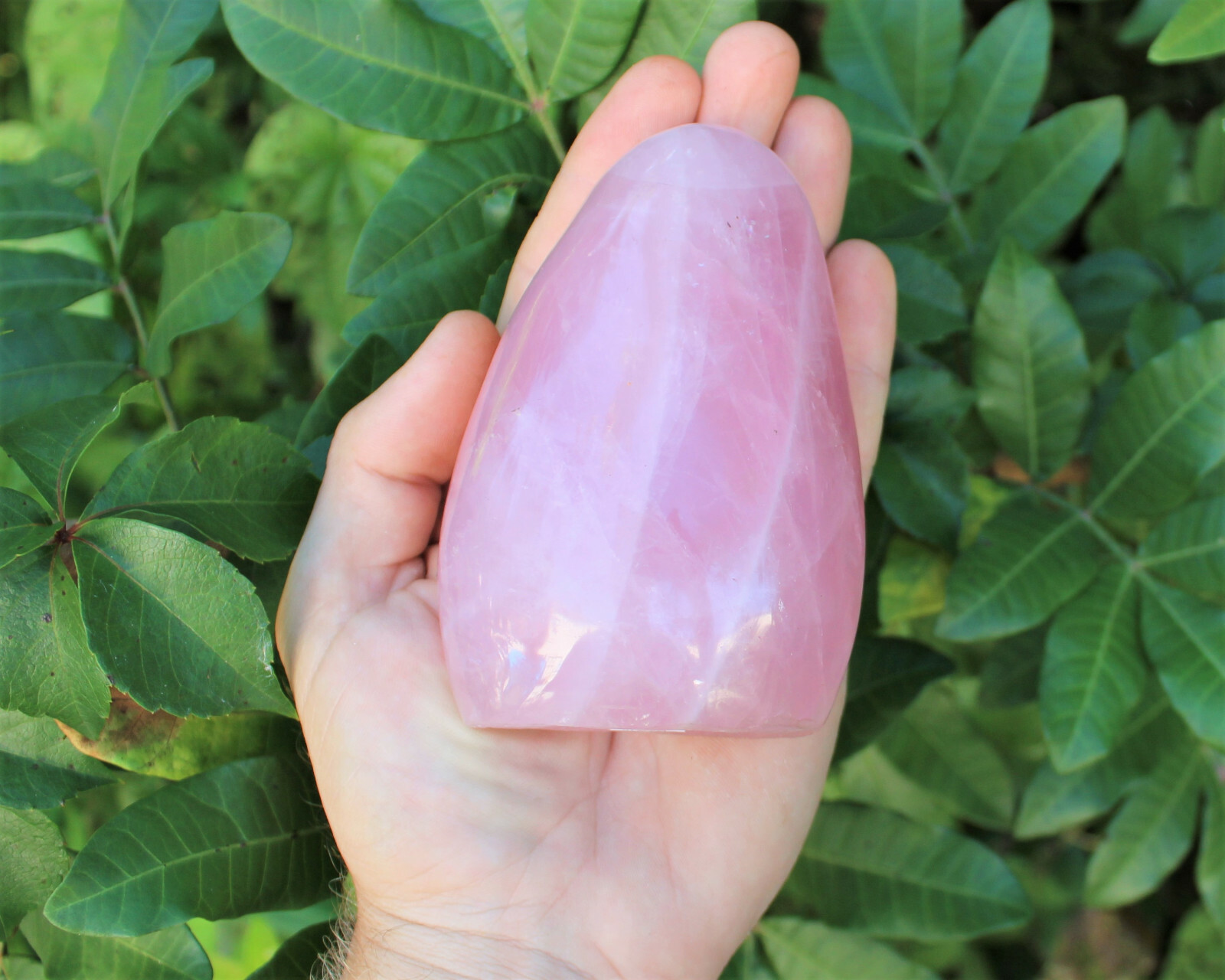 LARGE Polished Rose Quartz Freeform: Cut Base Free Standing Display Specimens
