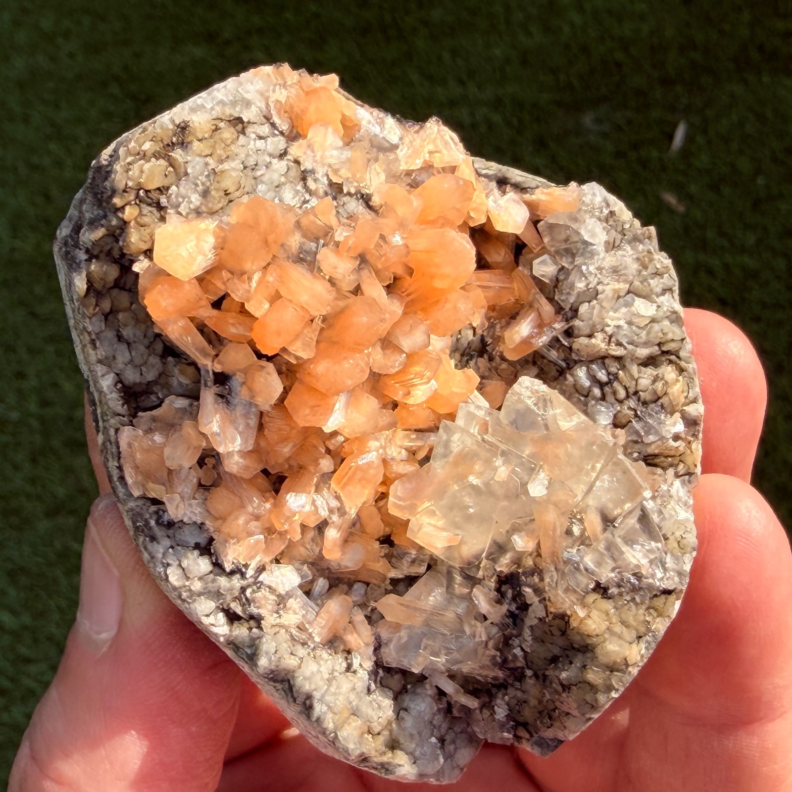 Rare Calcite Stellerite Julgodite Geode India Dual Wave UV Fluorescent Stand