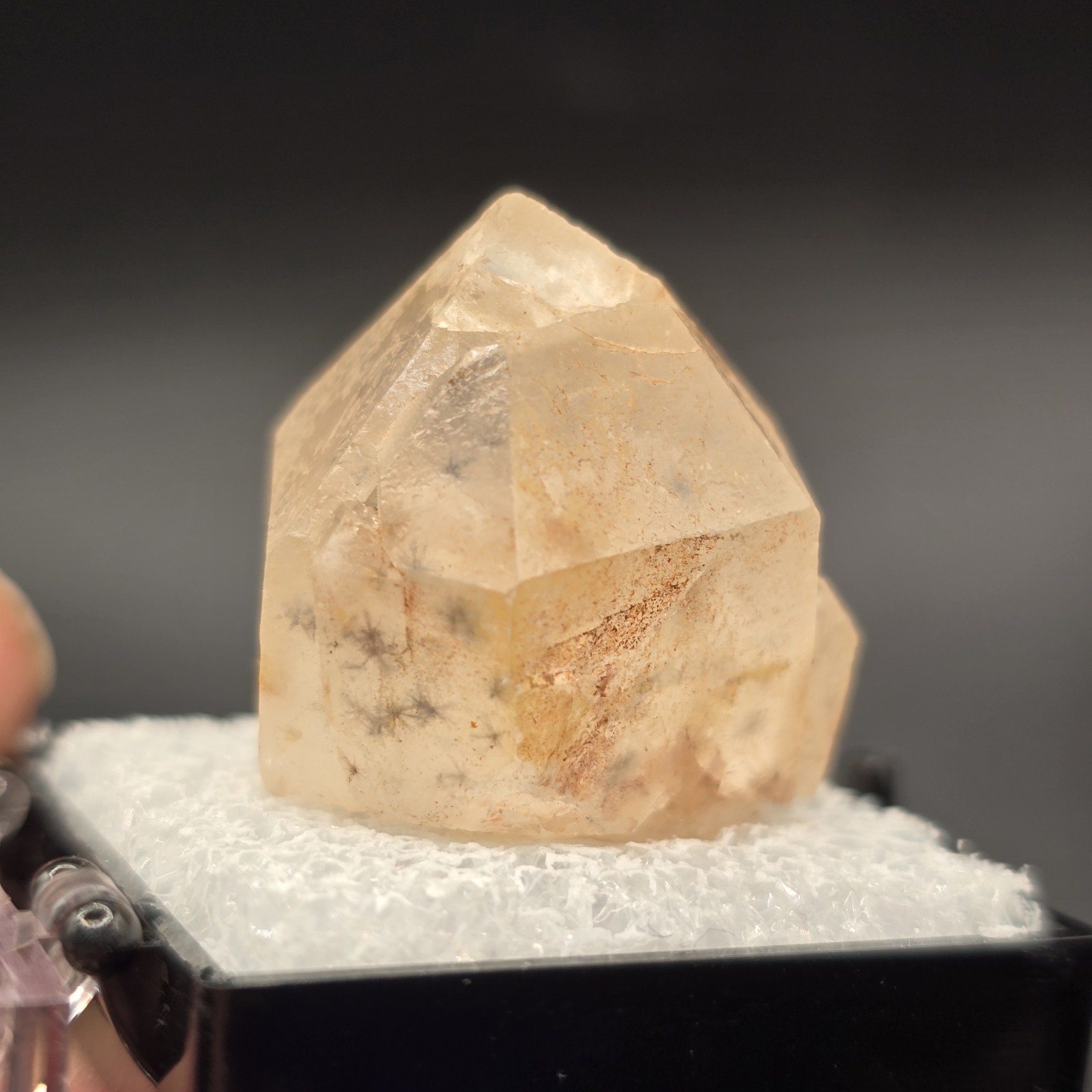 Hollandite Spider Quartz Point Crystal Madagascar Gemstone Specimen in Perky Box