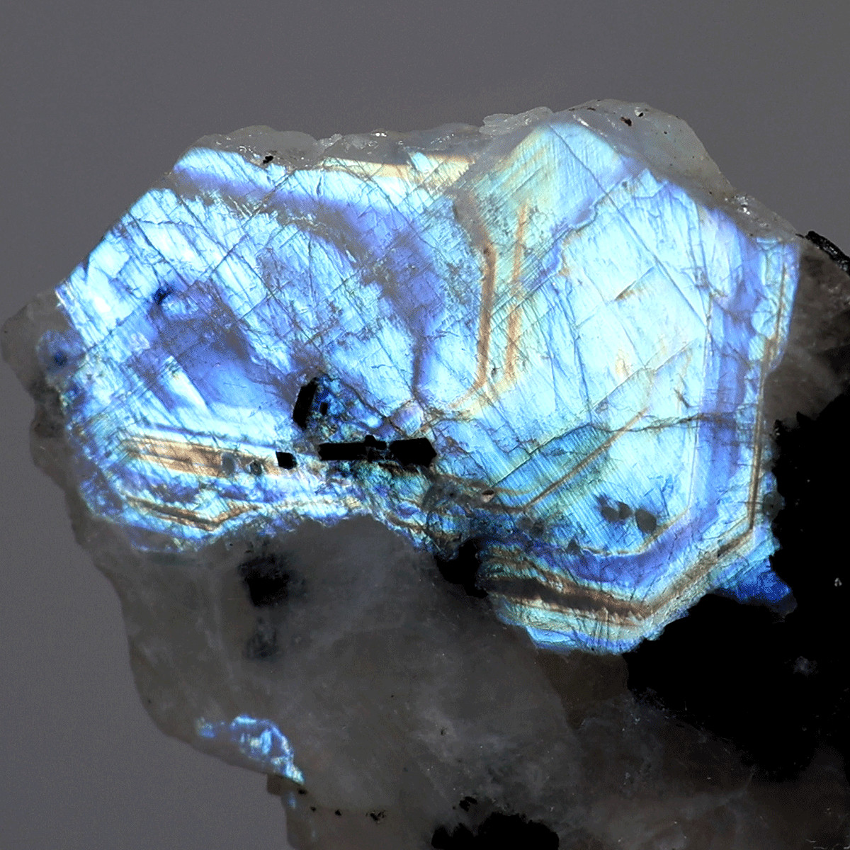 Divine Intuition — Natural Rainbow Moonstone W/ Tourmaline Electric Fire Slab