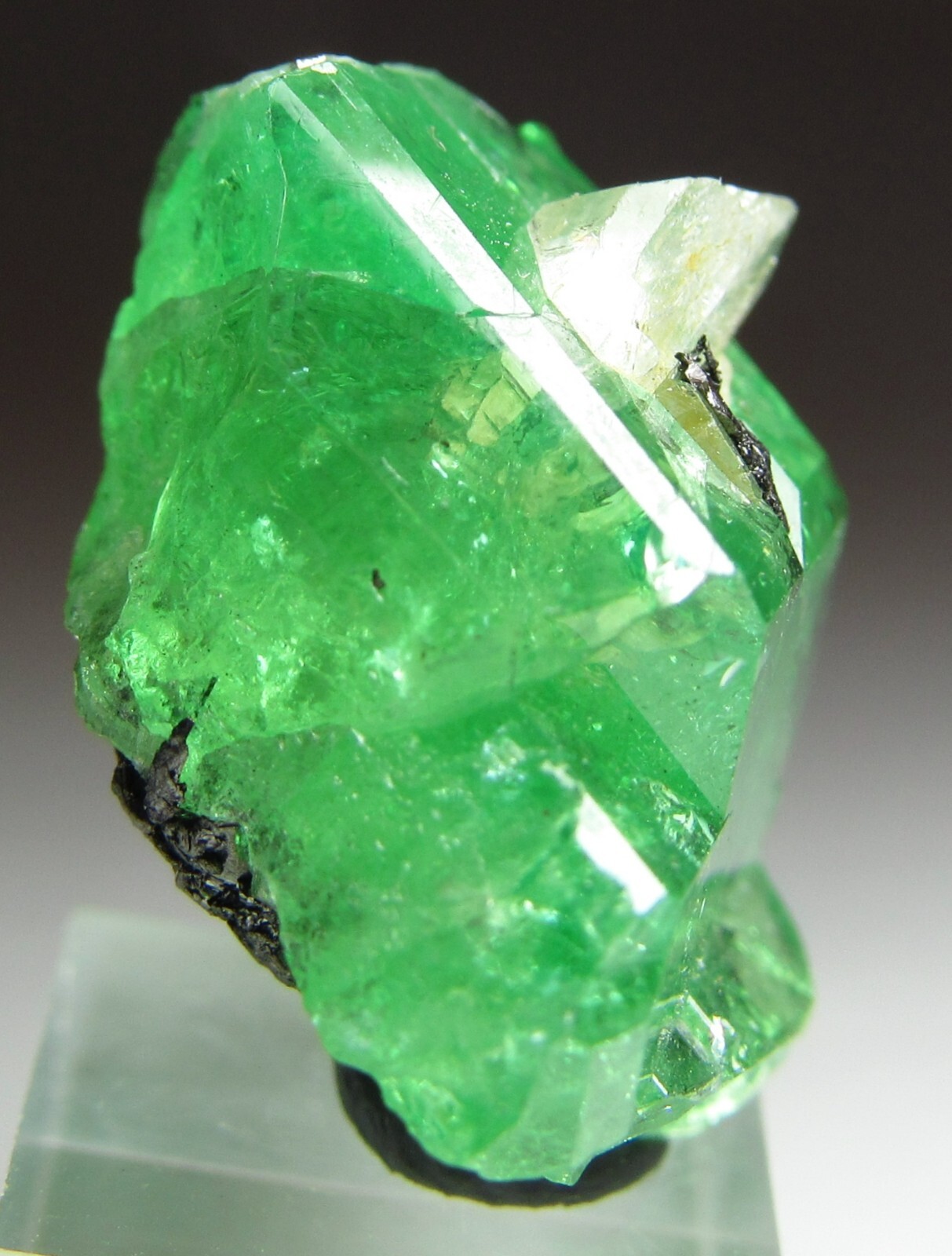 EXQUISITE ELEGANT GLASSY GEM TSAVORITE GROSSULAR GARNET W/ DIOPSIDE!!! TANZANIA