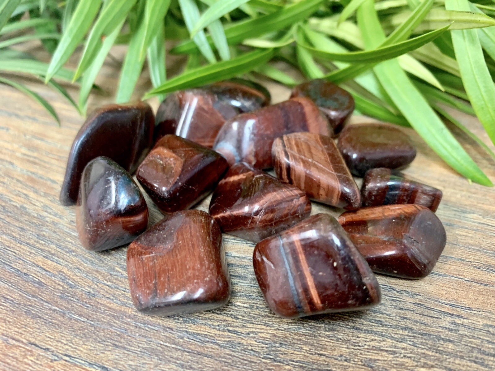 1/2 lb Red Tiger Iron Tumbled Stones Crystal Therapy Gemstone Specimen Reiki.