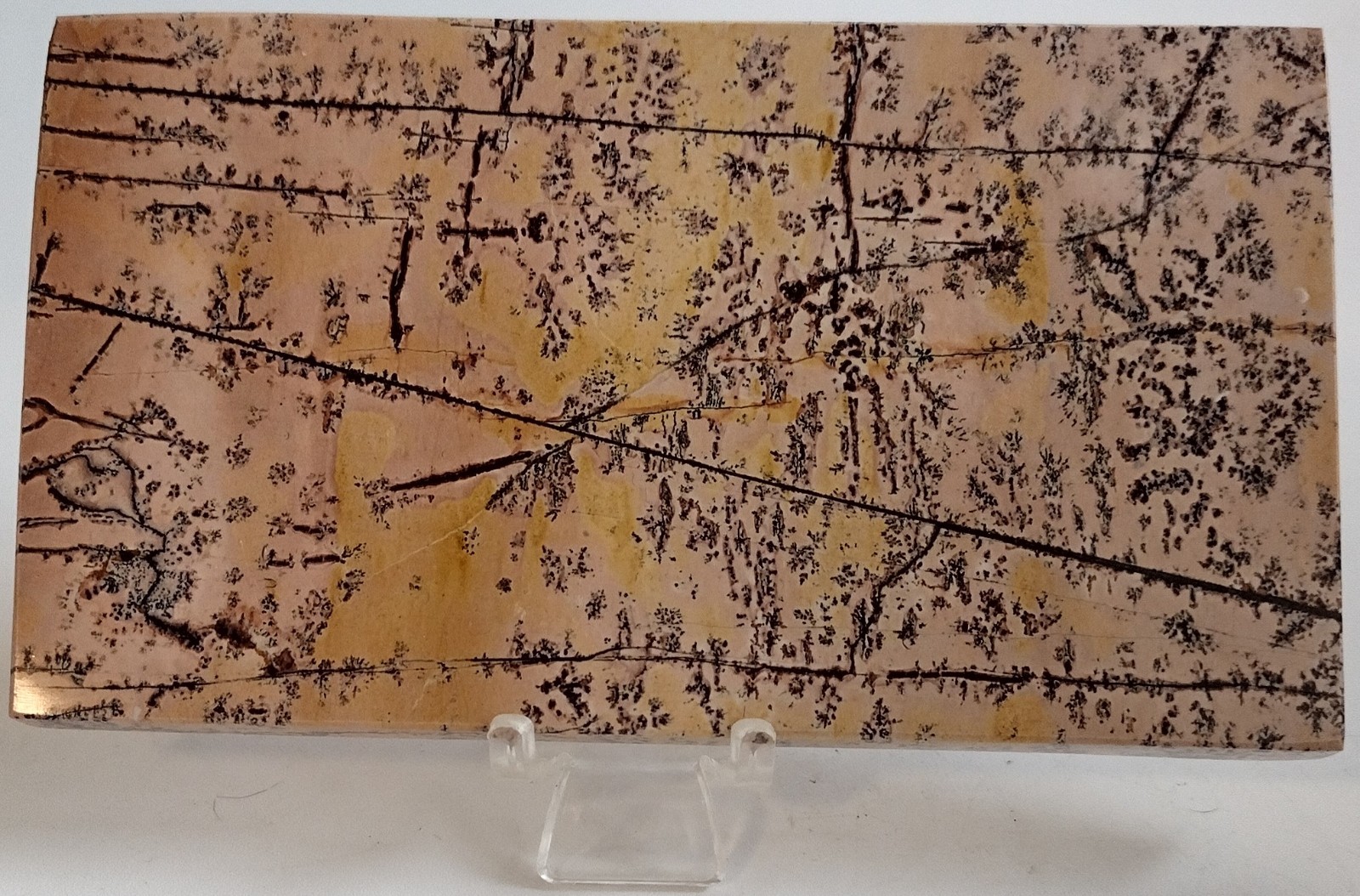 Large Picture Jasper Slab w/ Stand Polished Landscape Stone Display 272g