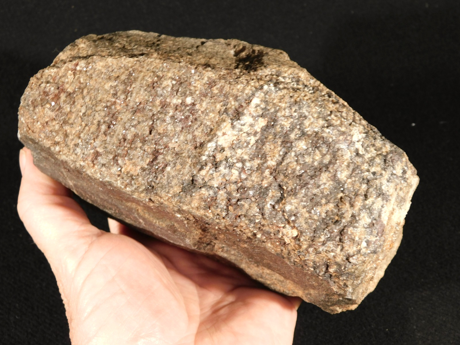 Big! Petrified Wood Fossil With SMOKY Quartz CRYSTALS Utah 2362gr