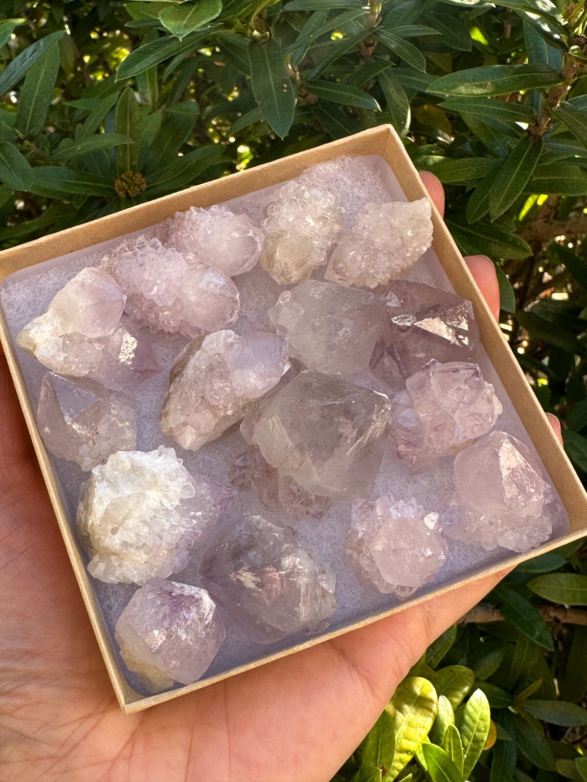 Spirit Quartz Clusters Crystal Collection Box: 6 – 7 oz Box Lot, 11 – 14 Pieces