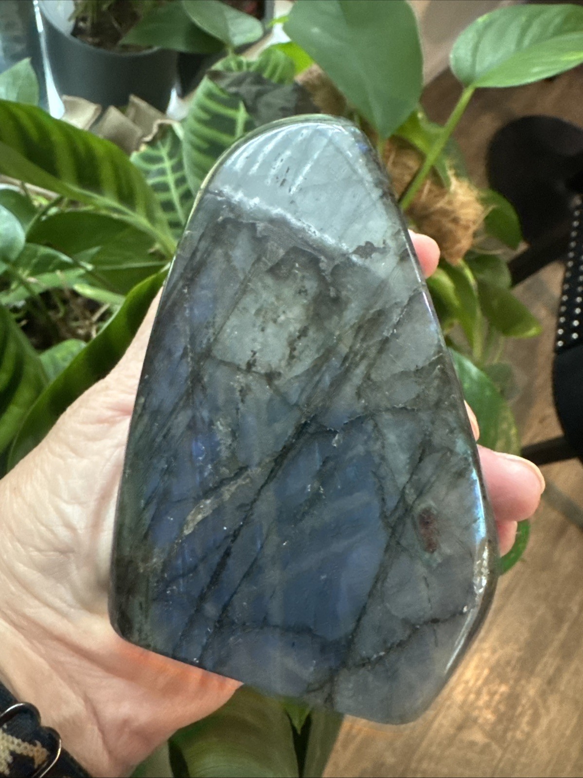 Labradorite Crystal Freeform 522 Grams 4.25”