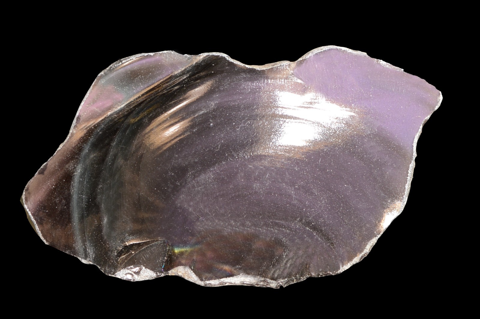 Rainbow Obsidian 2 1/2″ 2-3 Oz AAA Grade Chakra Healing Crystals Rough Gemstone