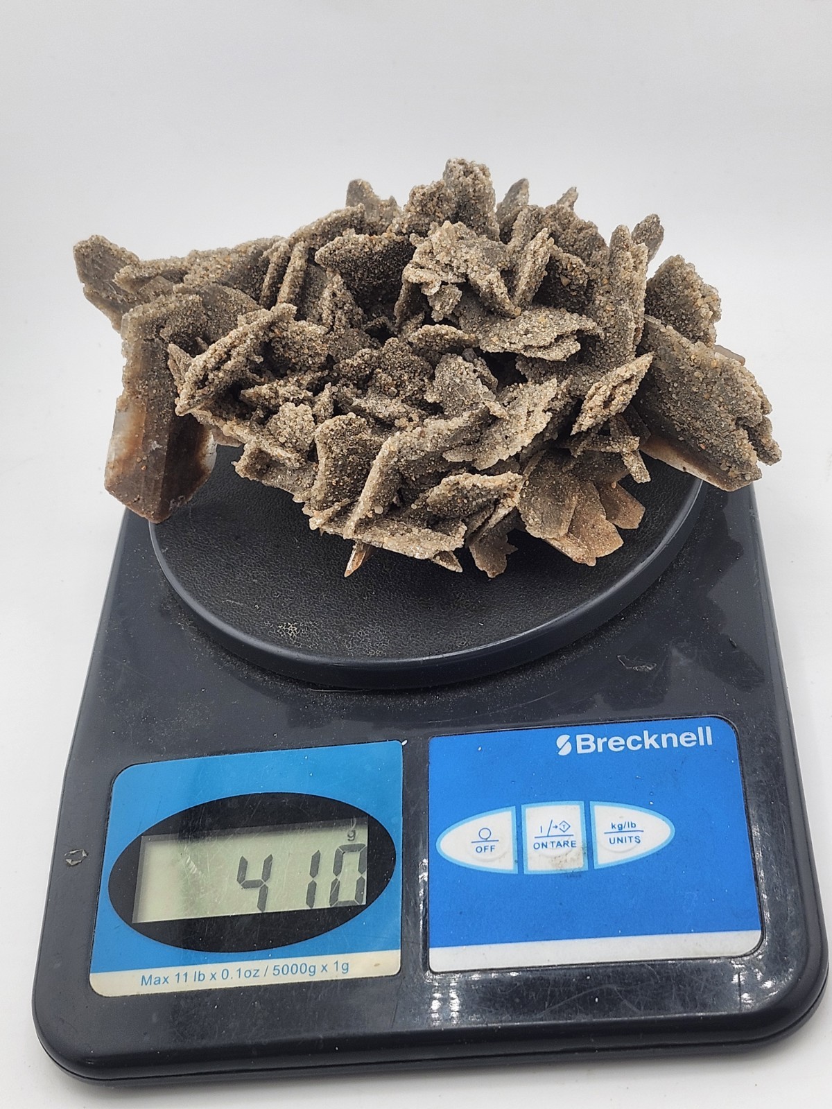 Hourglass Selenite Gypsum Crystal Cluster Oklahoma Old Stock 410 Grams