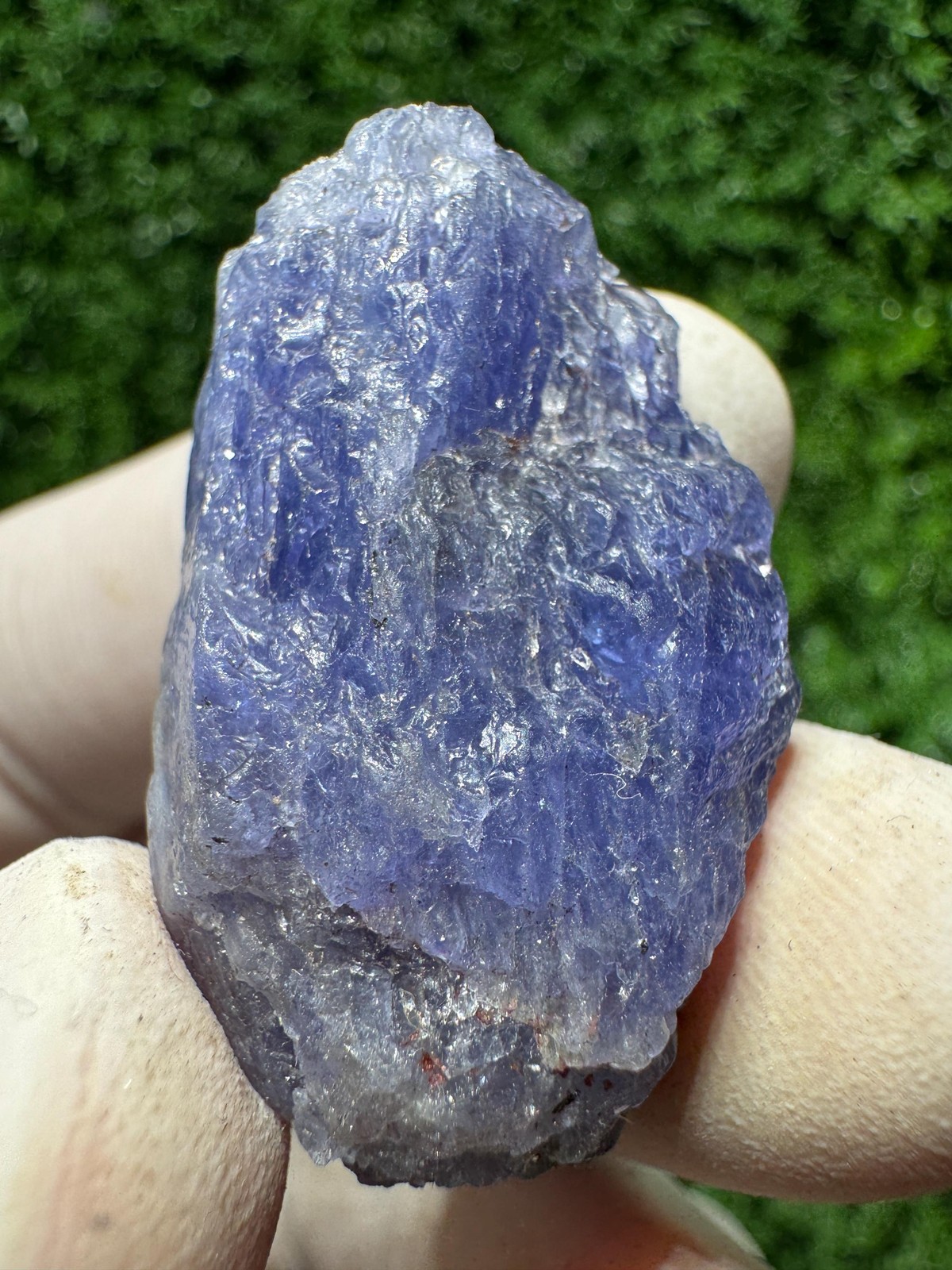 Lovely TANZANITE Crystal with COLOR CHANGE under yellow/white light / N435