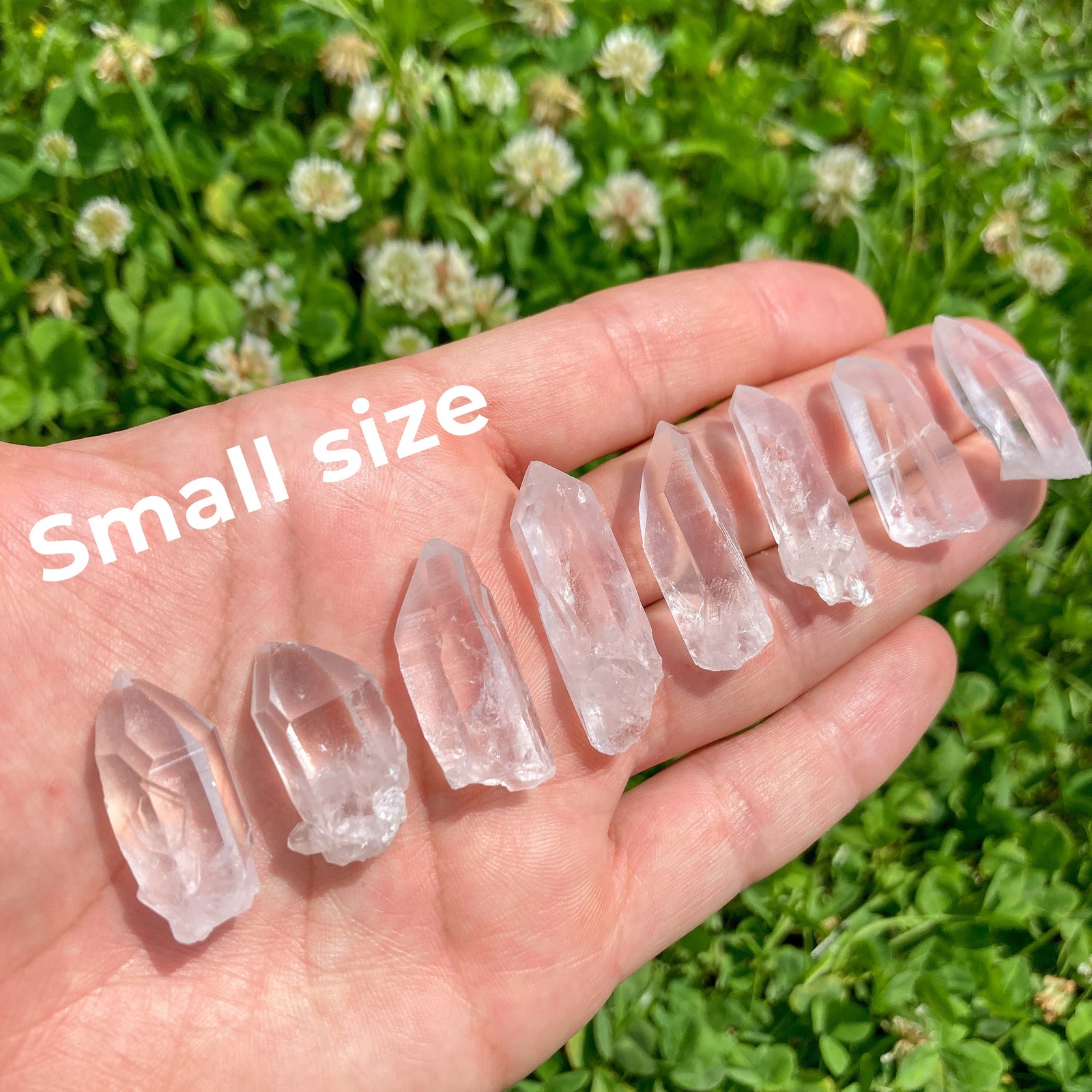 Raw Lemurian Quartz Crystal Point / Protection / Cleansing / Chakra Balance
