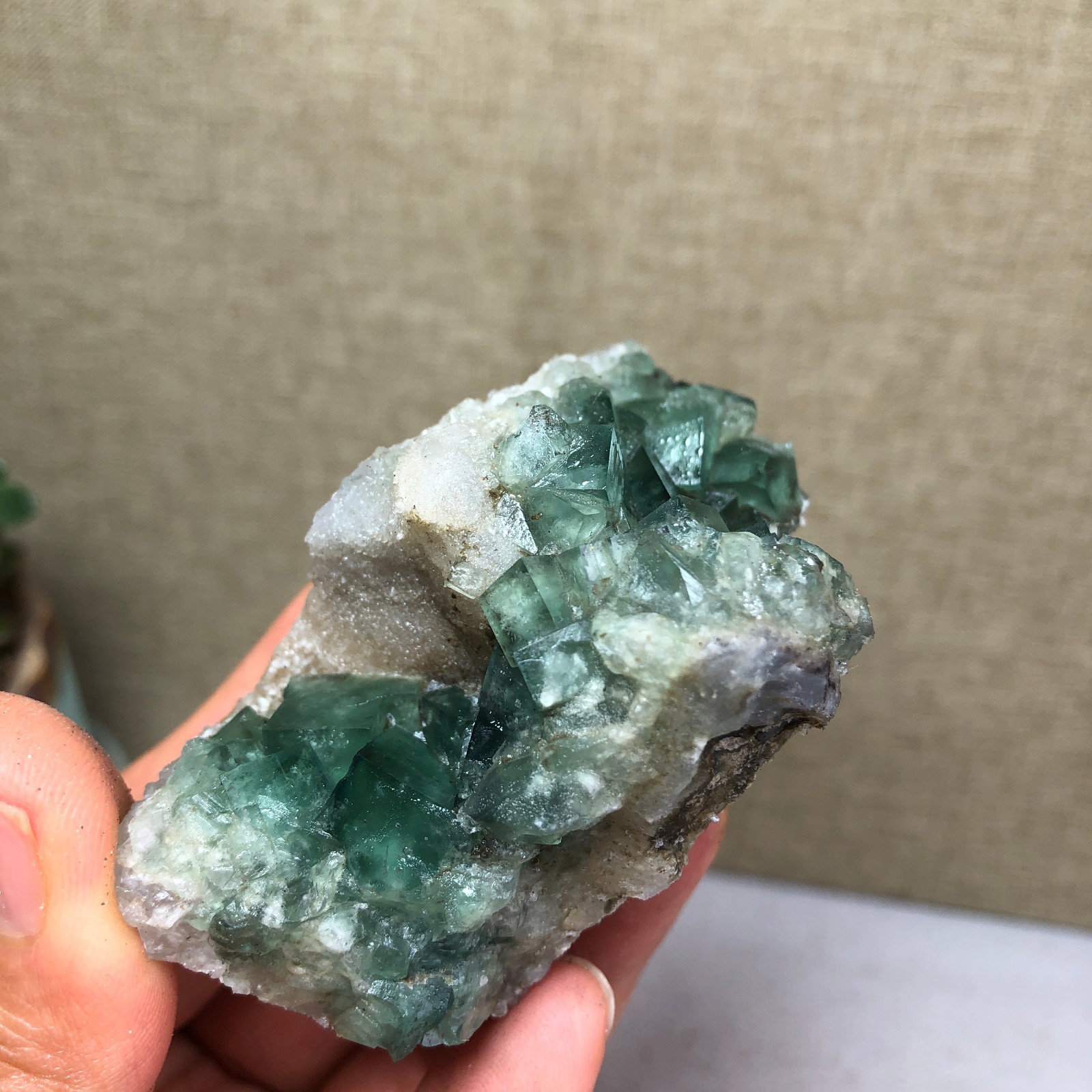 101g NATURAL Green Cubic FLUORITE Crystal Cluster Mineral Specimen A4737