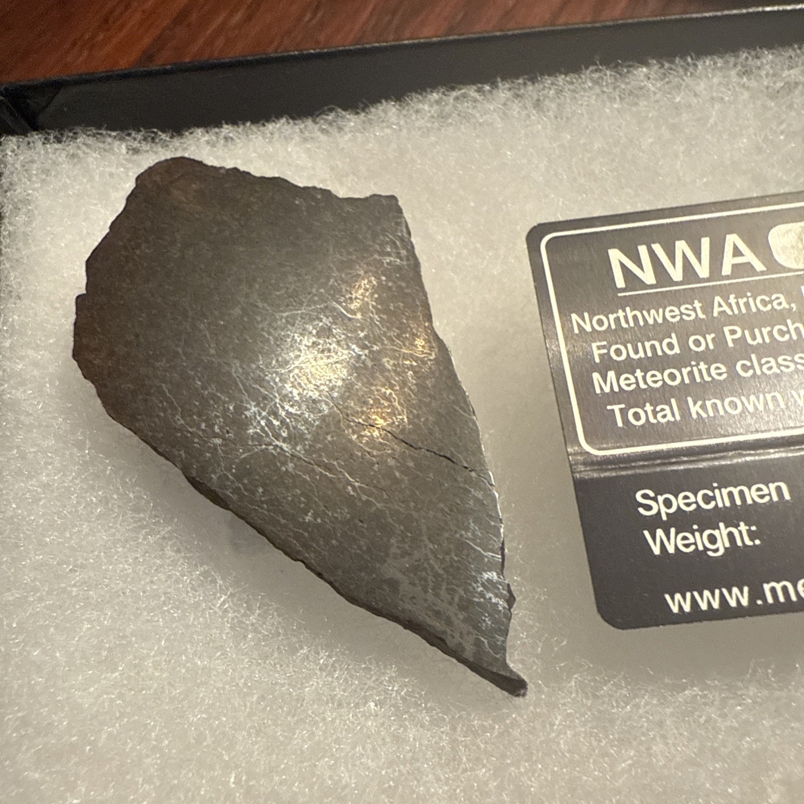 22.1 g Chondrite Meteorite Slice, Africa