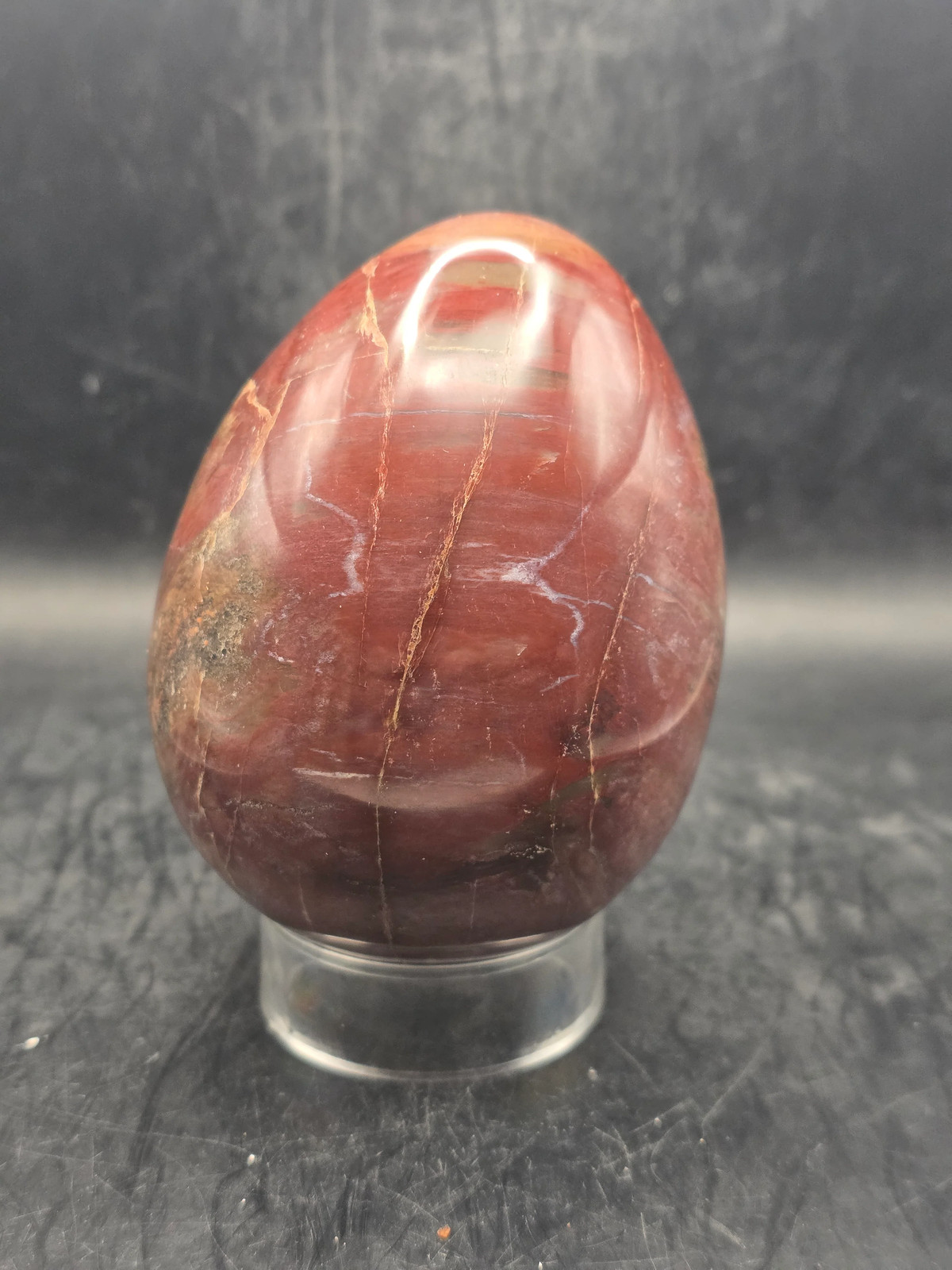 Petrified wood egg! 1.4 pounds! 3.5 inches tall, 2.7″ wide