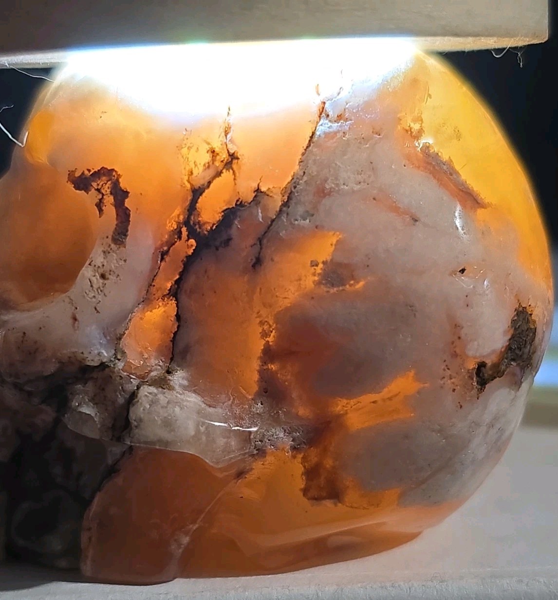 Flower Agate Skull 2.5″ X 2″ 7.8 Oz. 222g.