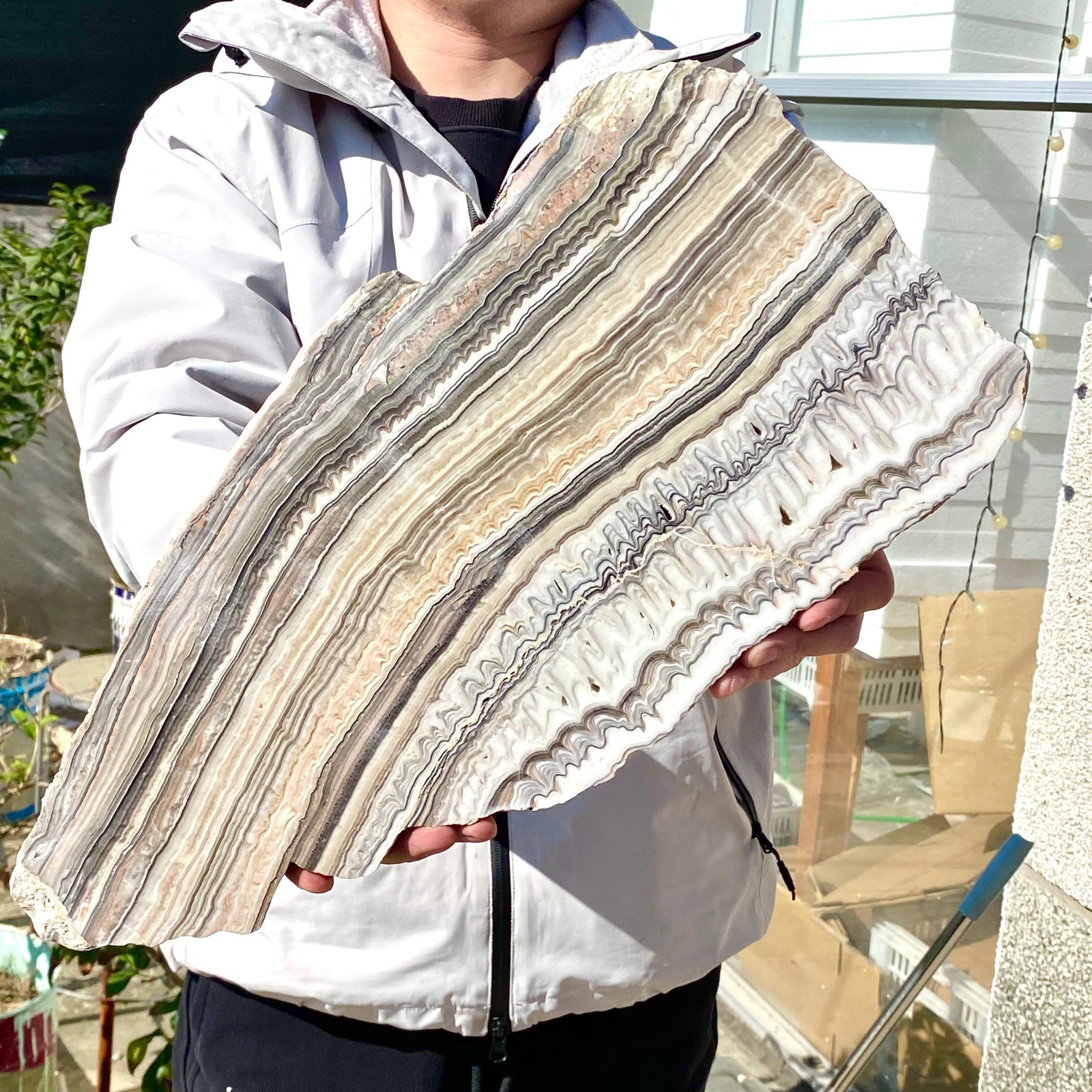 6LB Natural agate, zebra stone, crystal mineral, cut and polished in flakes