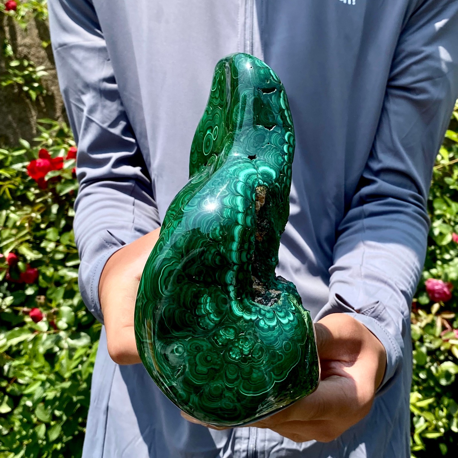 8.5LB Natural glossy Malachite egg transparent cluster rough mineral sample