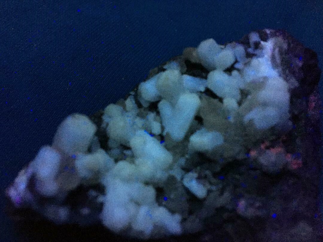 KB: BRIGHT SW FL. WHITE/CREAM TARNOWIZITE XLS. FROM TOUISSIT, MOROCCO