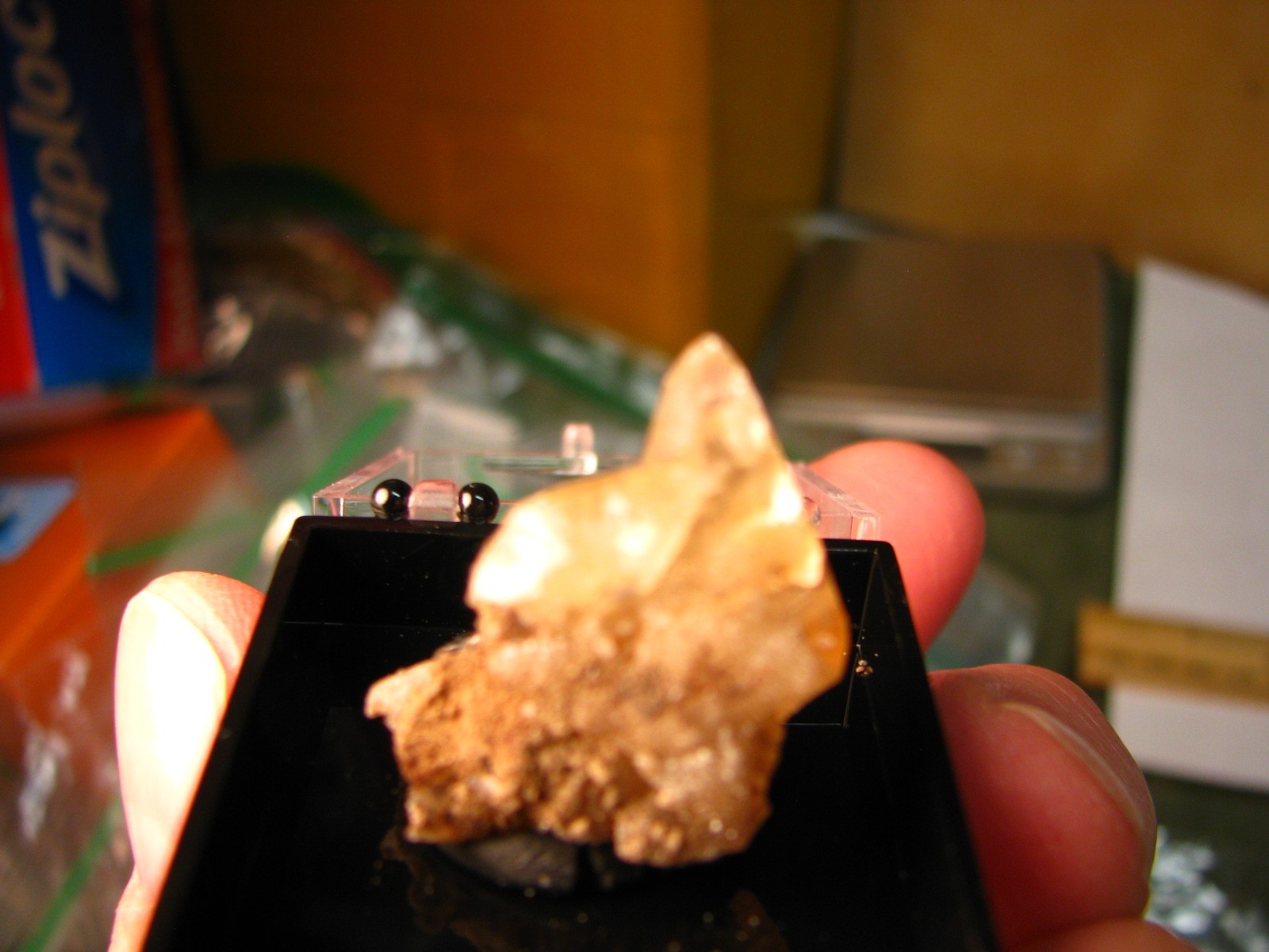 GOLDEN DOGTOOTH CALCITE CLUSTER THUMBNAIL IN CASE MARBLEHEAD QUARRY OHIO #224