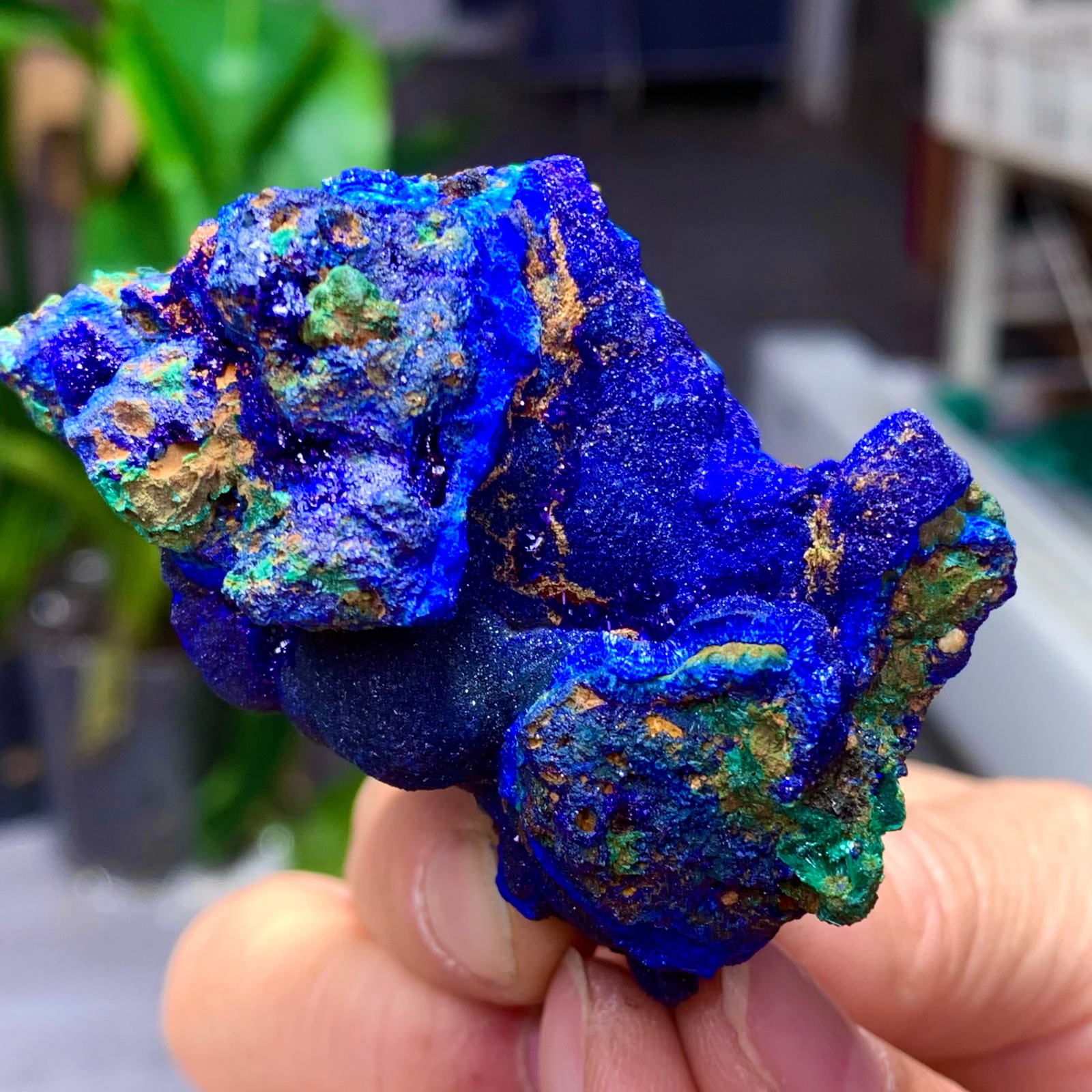 102G BEST Natural Azurite/Malachite crystal minerals specimens
