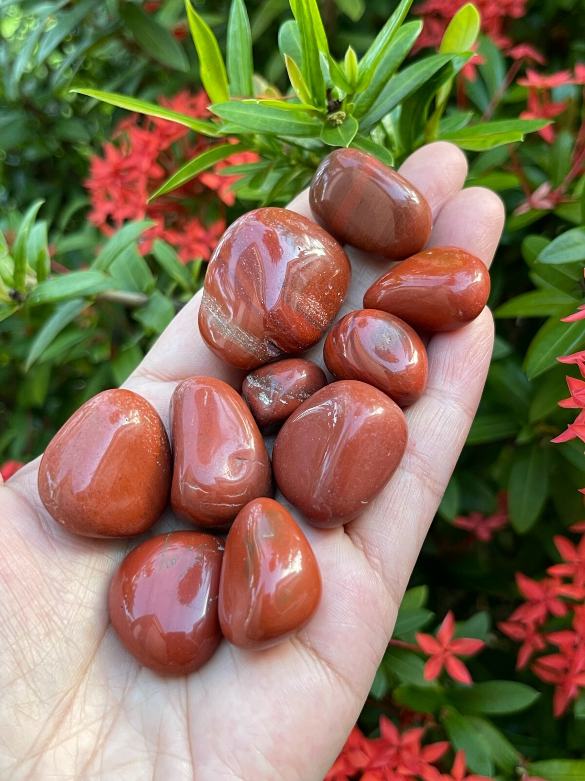 Grade A++ Red Jasper Tumbled Stones, 0.7″-1.25″ Tumbled Red Jasper,Pick A Weight