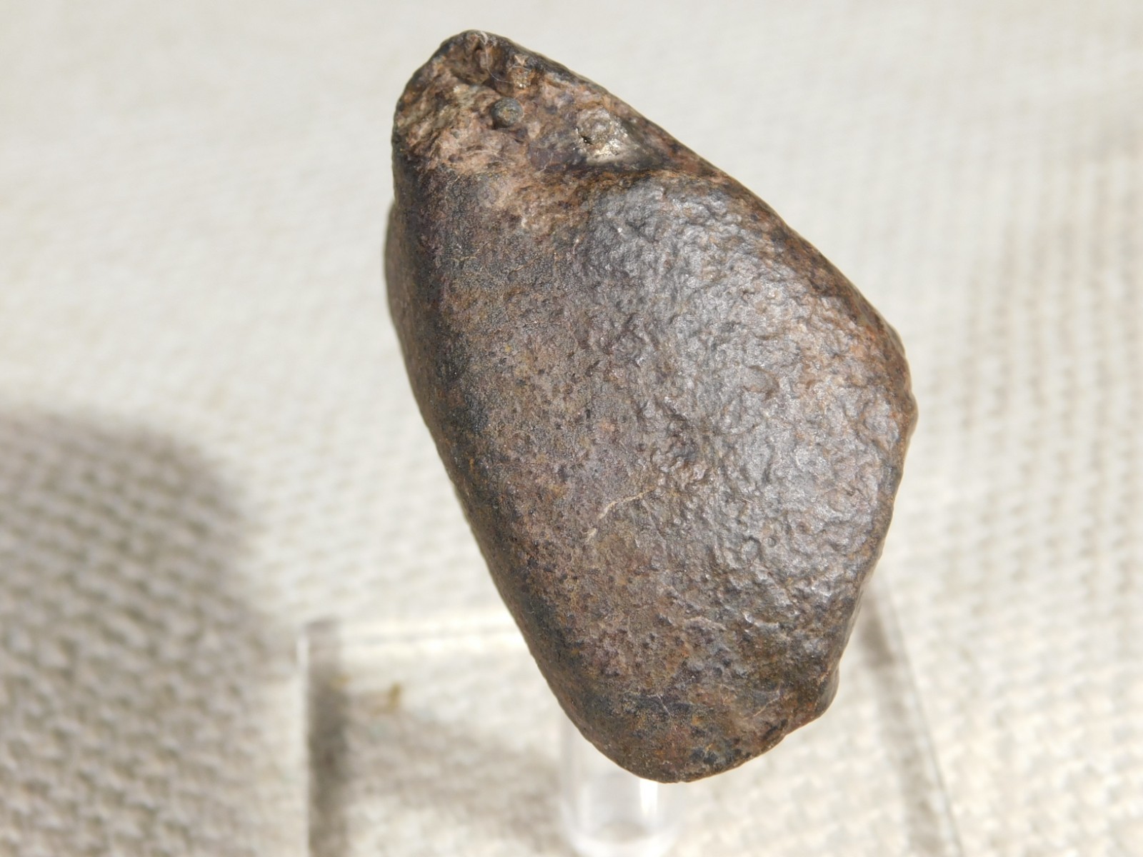 Stony N.W.A. METEORITE 100% Natural FELL in Libya 98.4gr