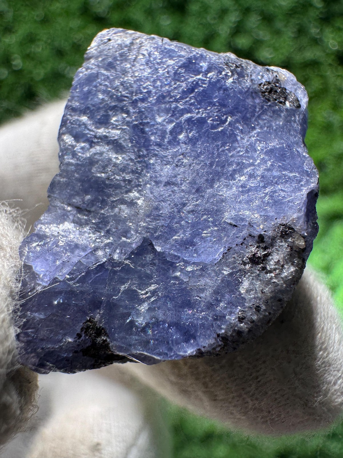 Beautiful TANZANITE Crystal with COLOR CHANGE under yellow/white light / N373