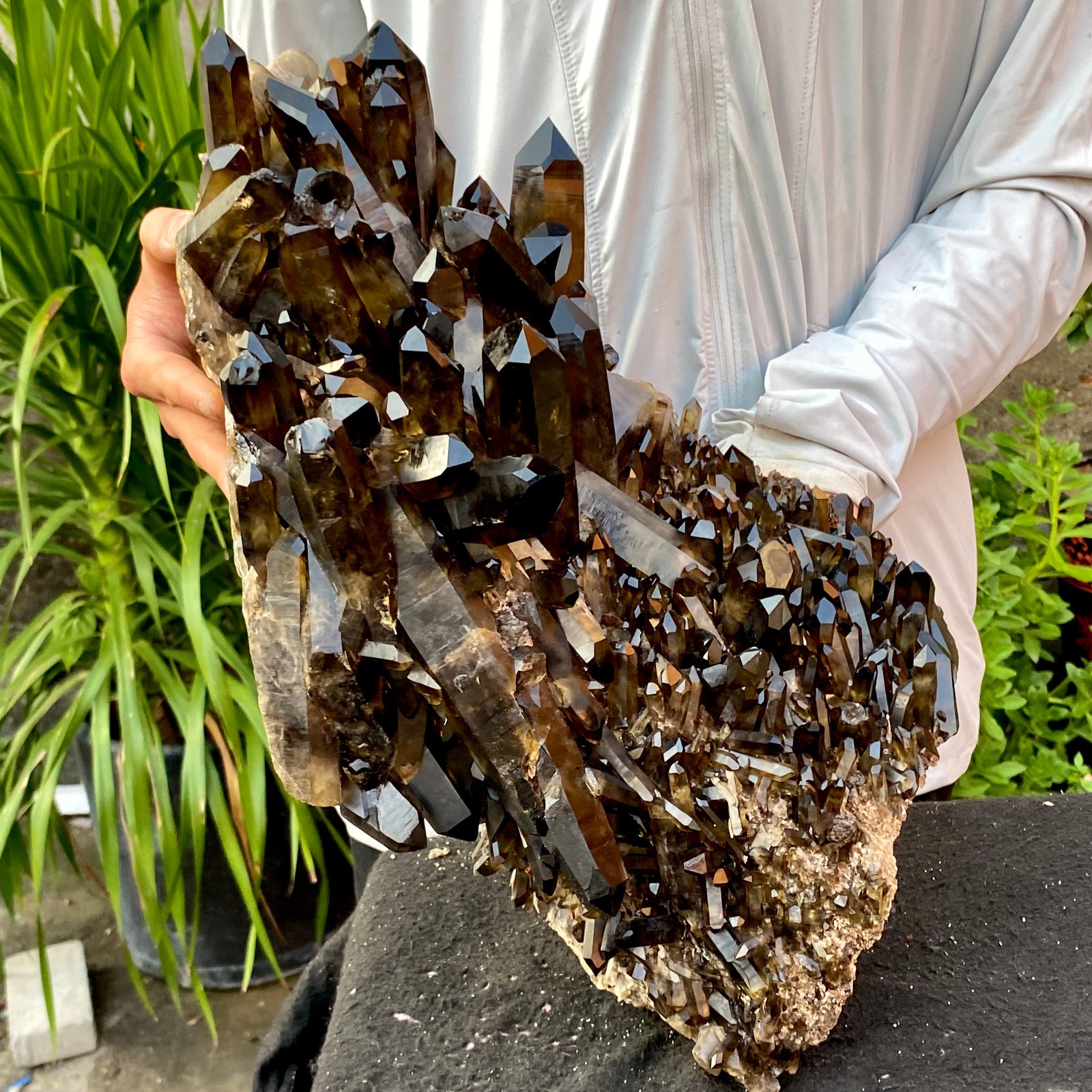 40.43LB Large Natural Black Smoky Quartz Crystal Cluster Raw Mineral Specimen