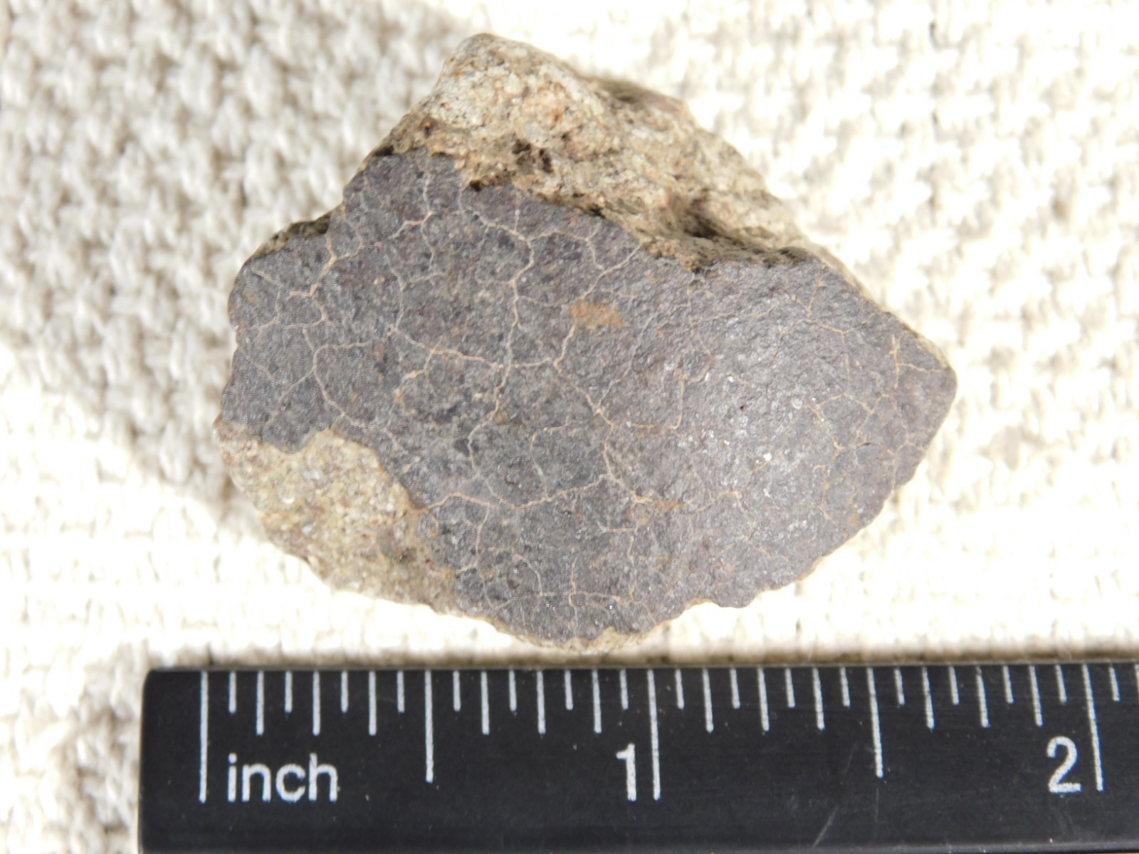 NWA 8245 METEORITE with DARK Fusion Crust & Contraction CRACKS Morocco 36.1gr
