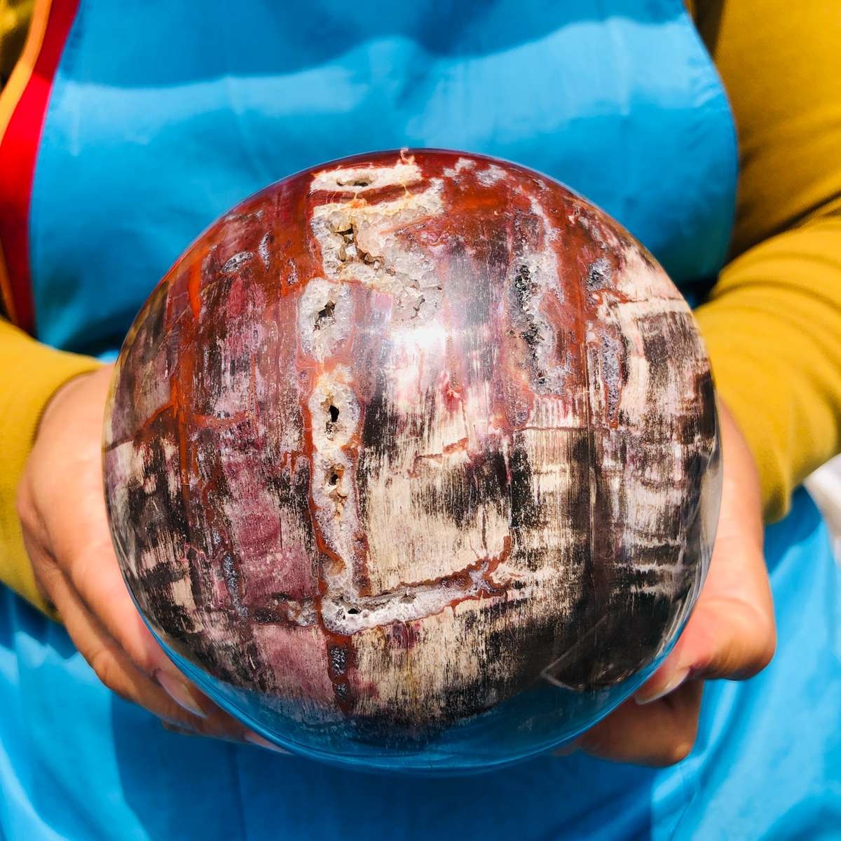 5.06LB Rare Natural Petrified Wood Ball Crystal Quartz Mineral Healing 4705