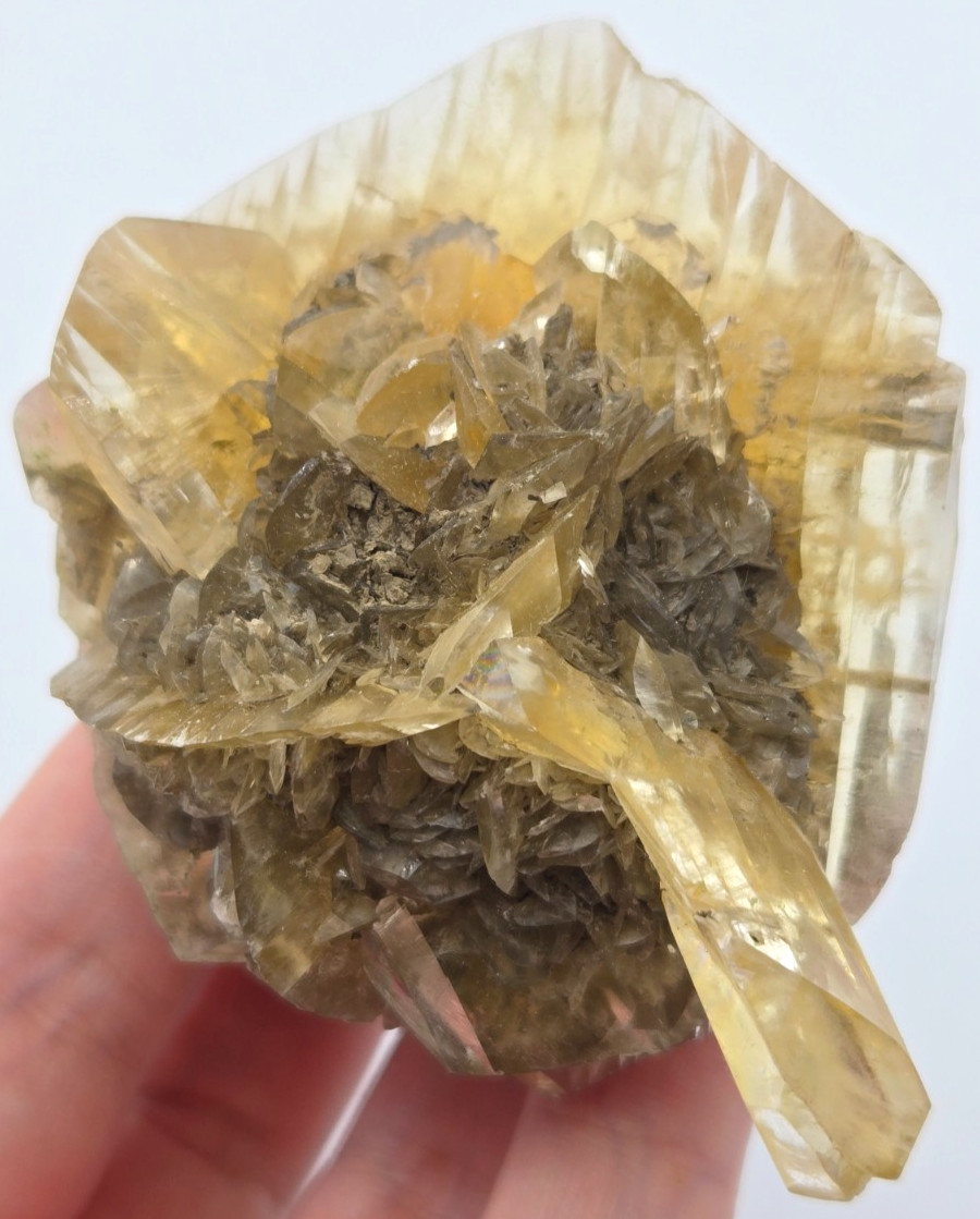 +++ GYPSUM VAR. SELENITE RED RIVER FLOODWAY, WINNIPEG, MANITOBA, CANADA +++