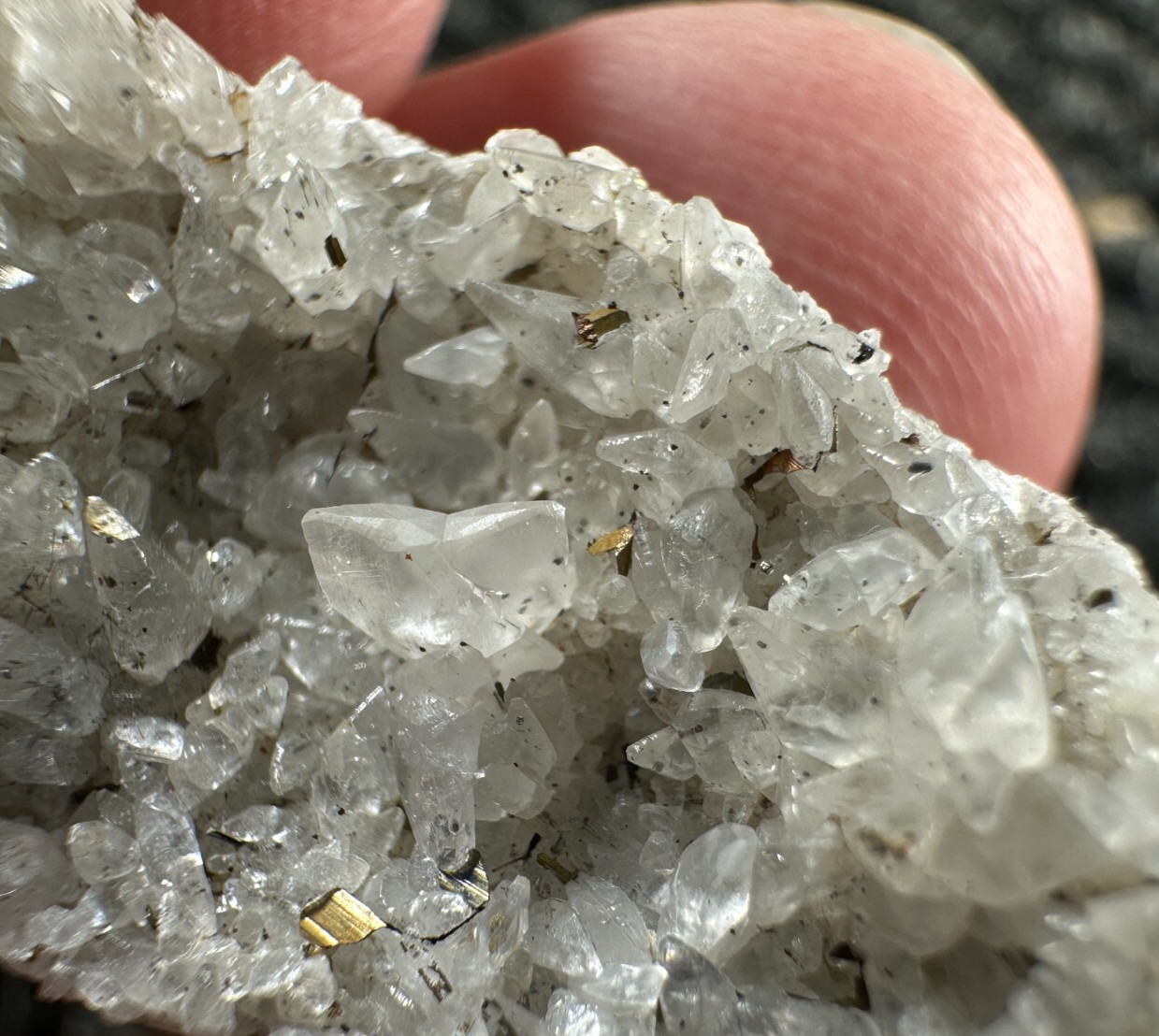➤ FISH TAIL TWIN CALCITE CRYSTAL on 1-1/4″ CLUSTER – Pint’s Quarry VIDEO➤1075