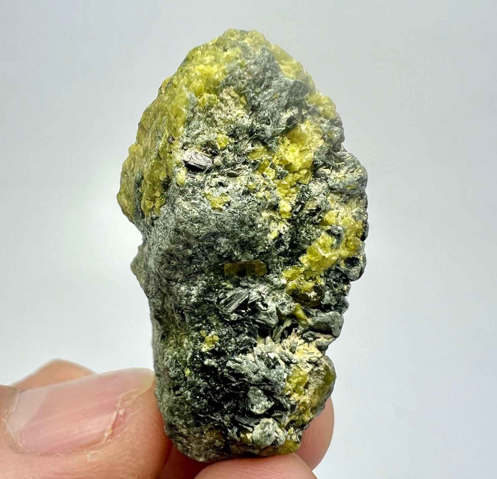 86 CT Rare Vesuvianite With Magnetite Crystals On Matrix From Pakistan AS42