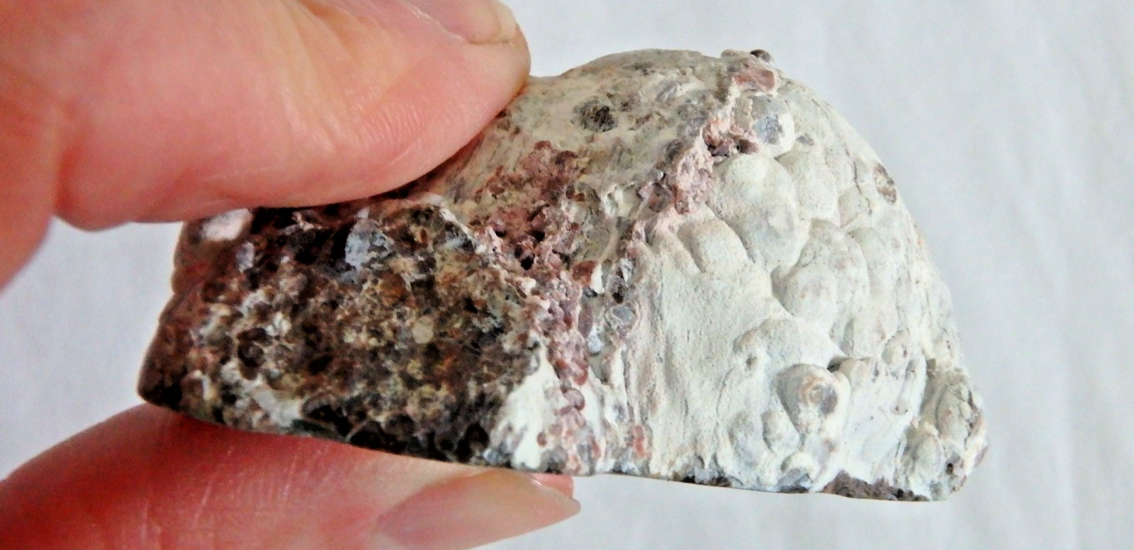 Unusual Baker Egg Geode Hermanus Ranch Columbus MN 65 grams half geode