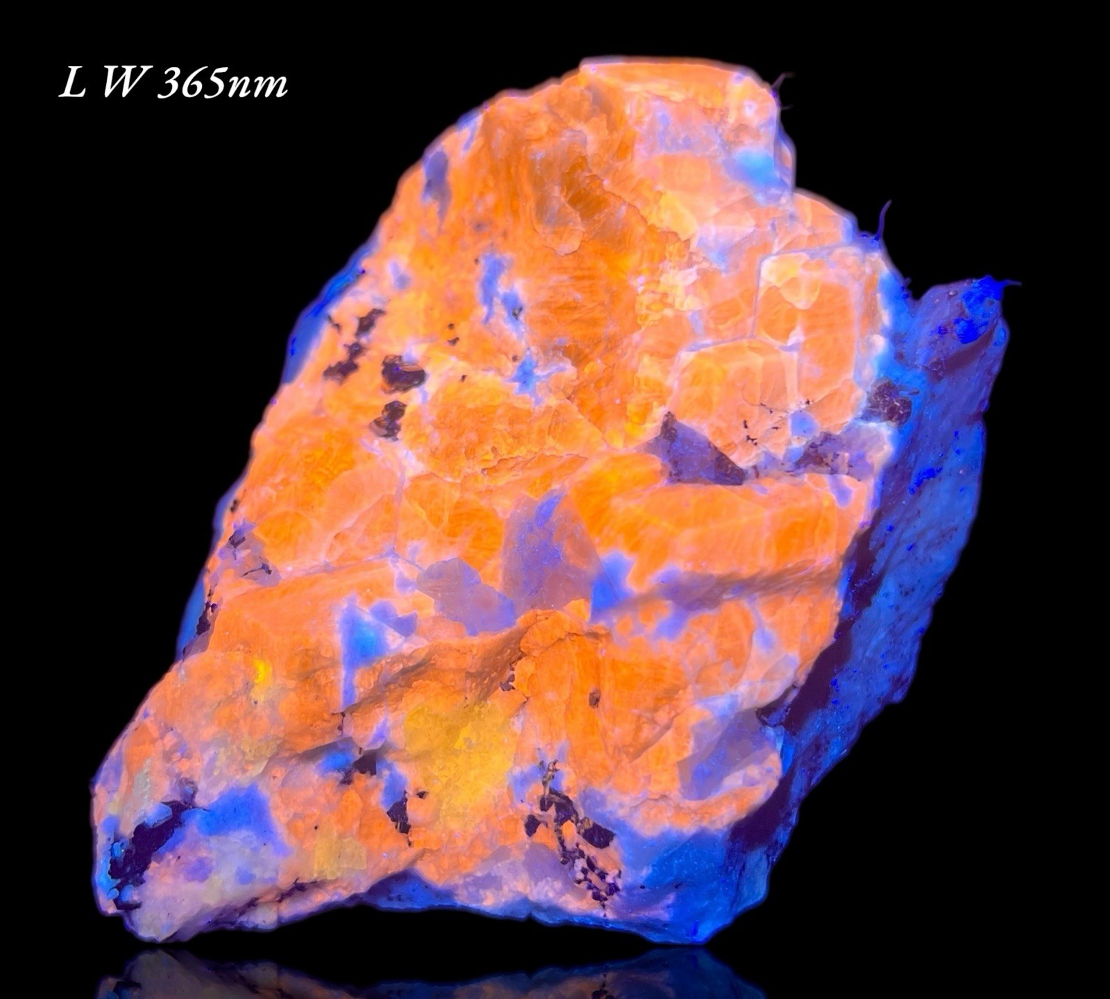 589 GM Sodalite W/ Hauyne, Marialite-Scapolite, Gonnardite, Calcite Fluorapatite