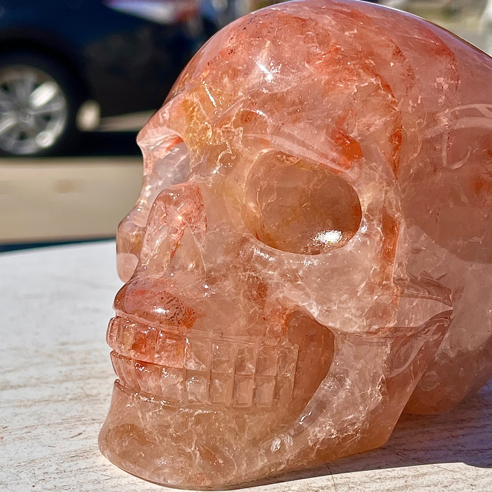 2.53LB Natural dreamy red gum flower skull hand carved skull healing
