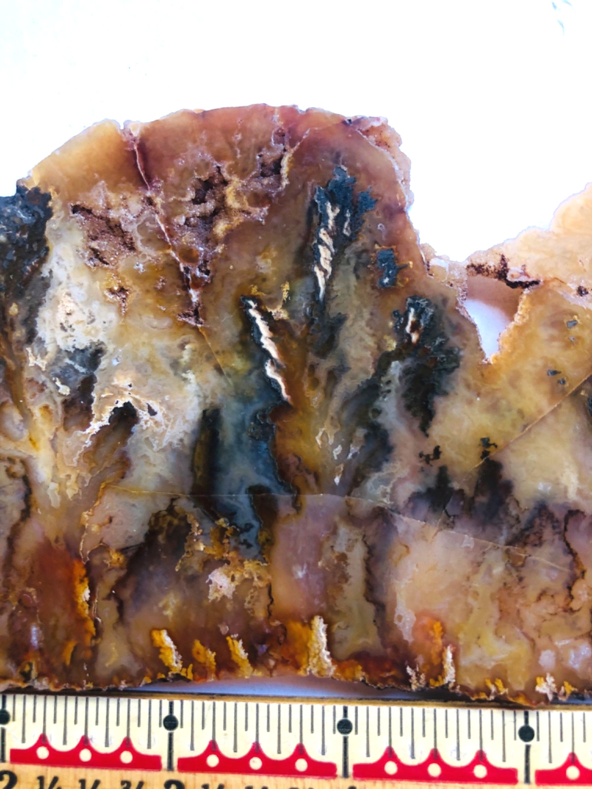 Graveyard Plume Agate Museum Grade Collectors Slab Oregon 202 Grams