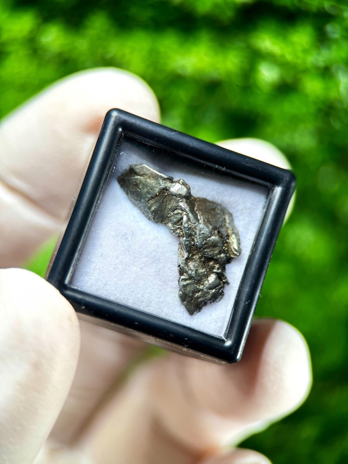 Genuine Aletai Iron Meteorite / From the Asteroid Belt Between MARS AND JUPITER!