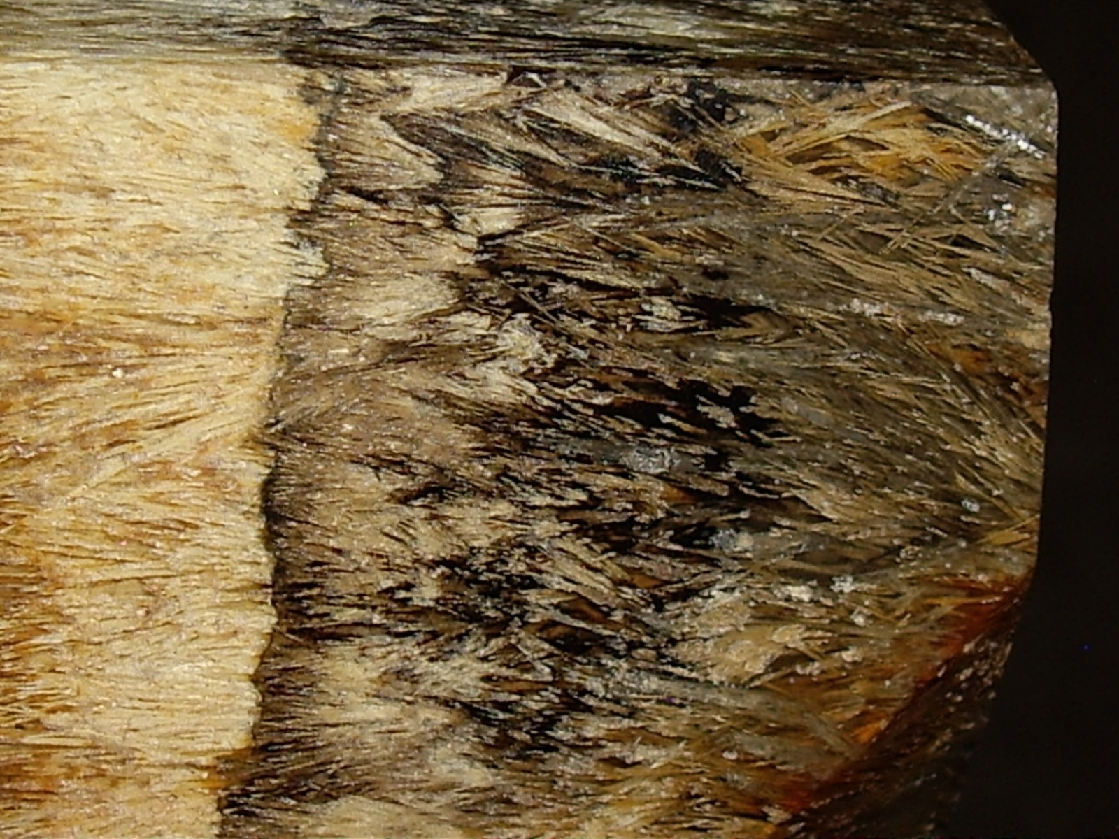 Fantastic Sagenite Agate Polished Freeform w/ Unknown Fibrous Inclusions 144.6g