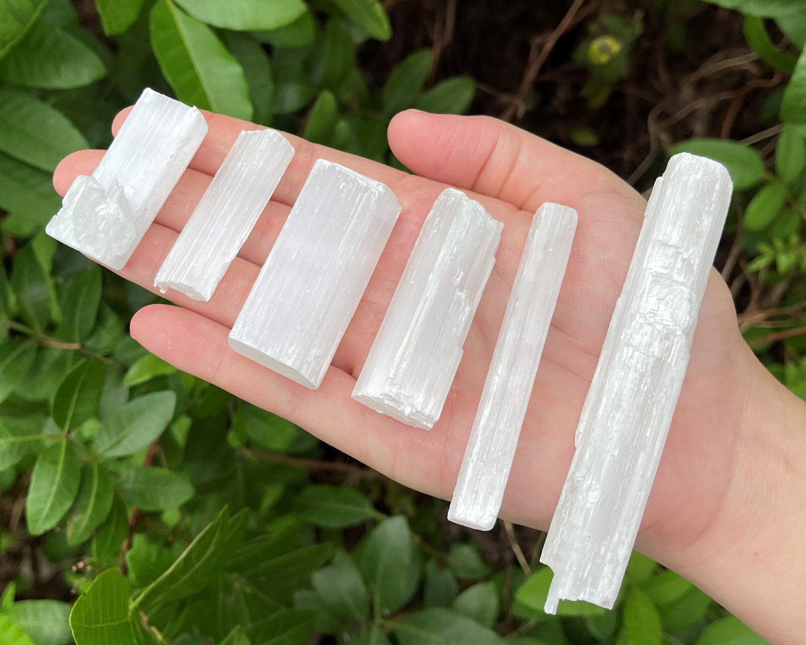 BULK 5 lb Wholesale Lot Selenite Logs Crystal Sticks Wand Blades CLEARANCE