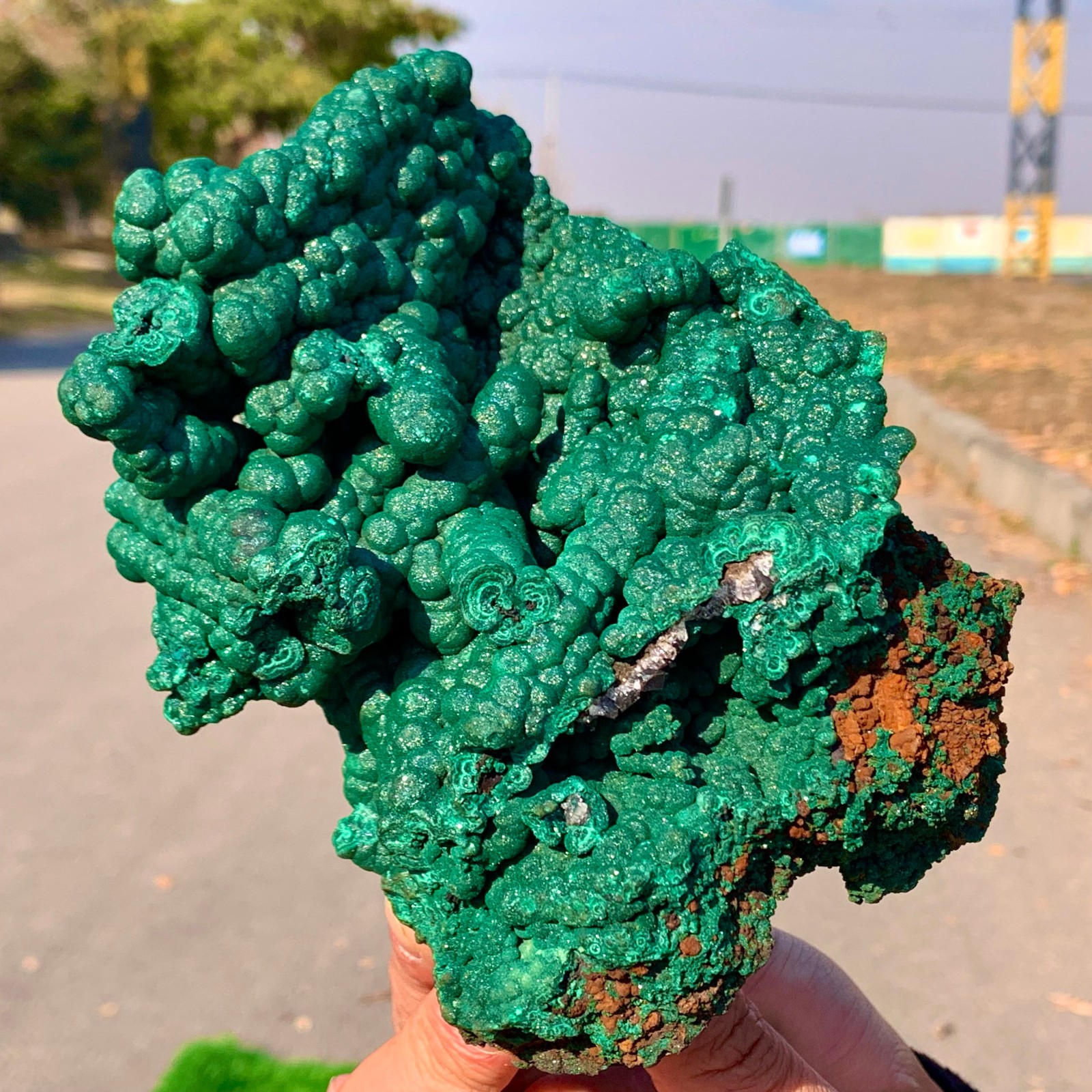 2.2LB Natural VELVET Azurite/Malachite cat’s eye specimen crystal mineral-Congo